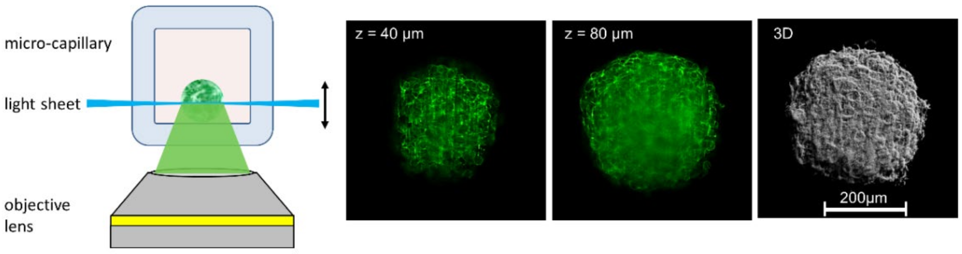 Applsci 11 00733 g002 Applsci 11 00733 g002