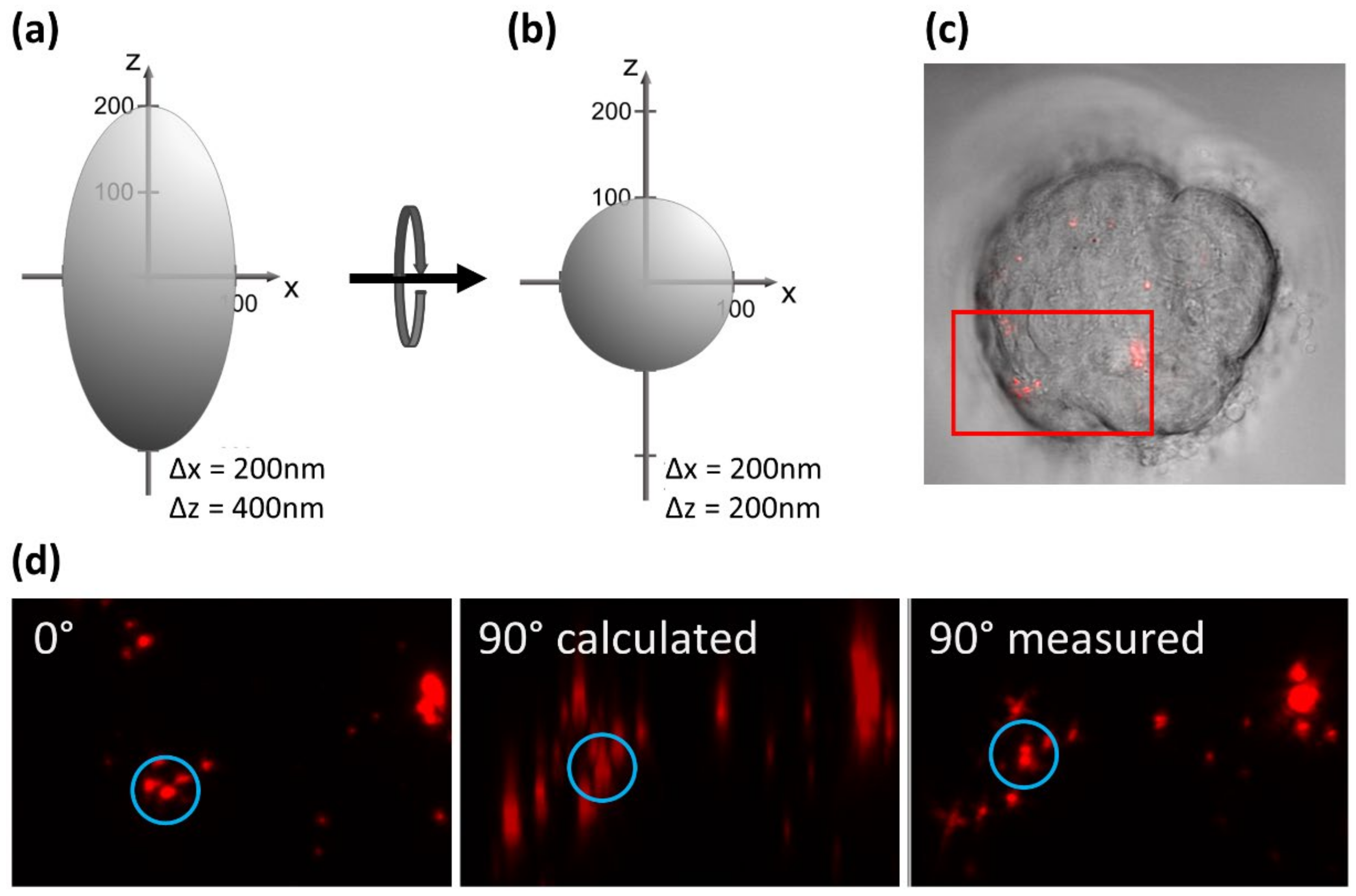 Applsci 11 00733 g005 Applsci 11 00733 g005