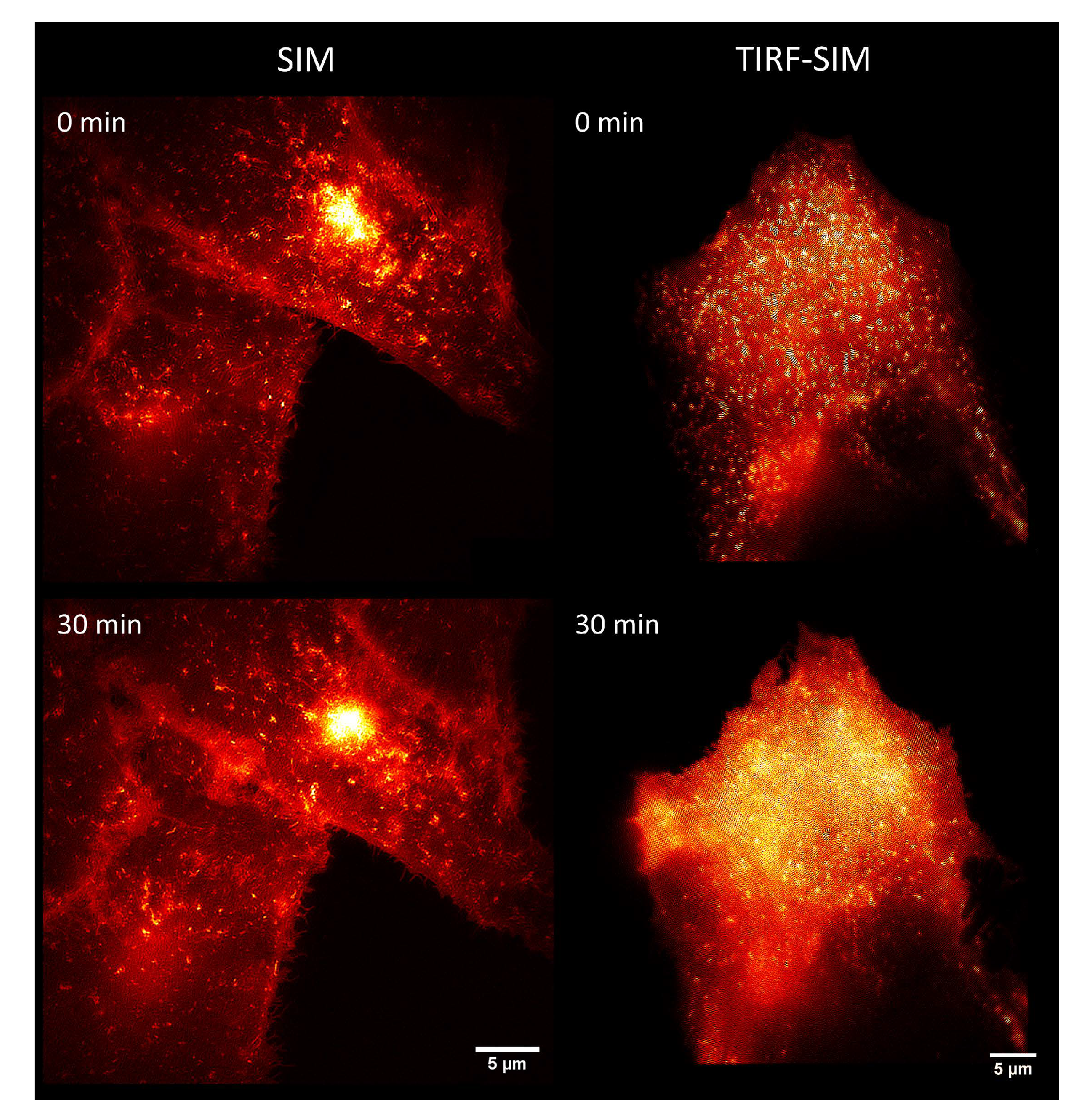 Applsci 11 00733 g007 Applsci 11 00733 g007