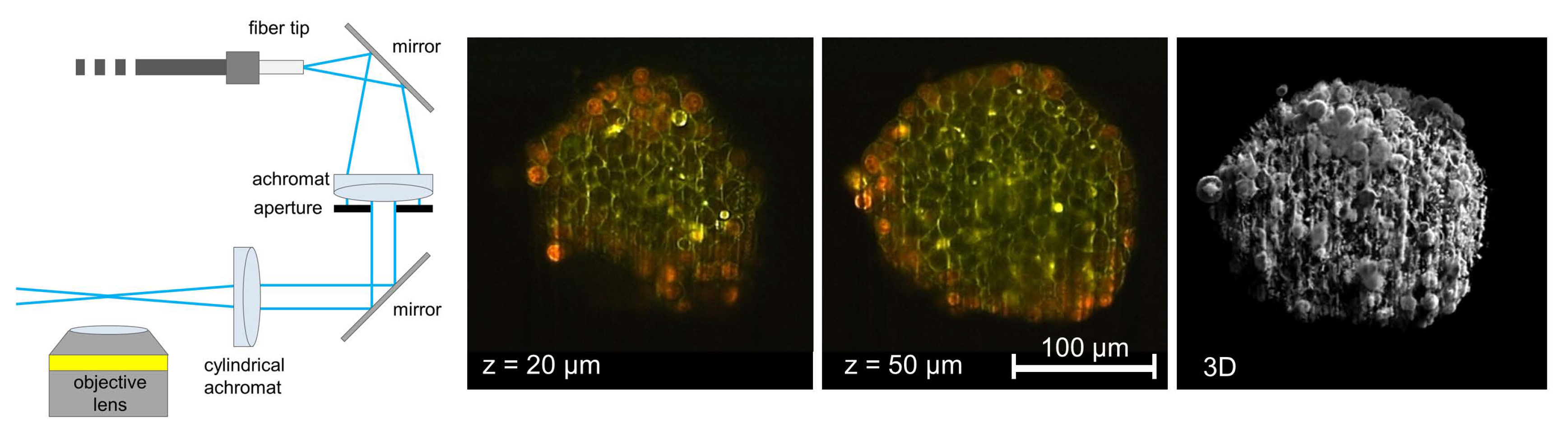 Applsci 11 00733 g009 Applsci 11 00733 g009