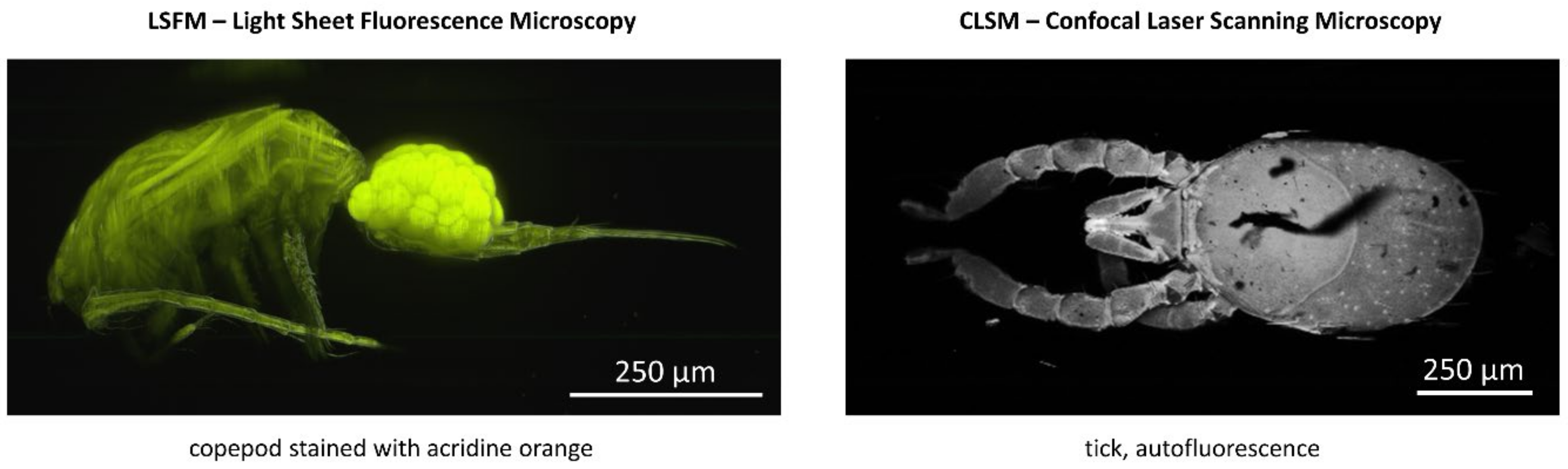 Applsci 11 00733 g011 Applsci 11 00733 g011