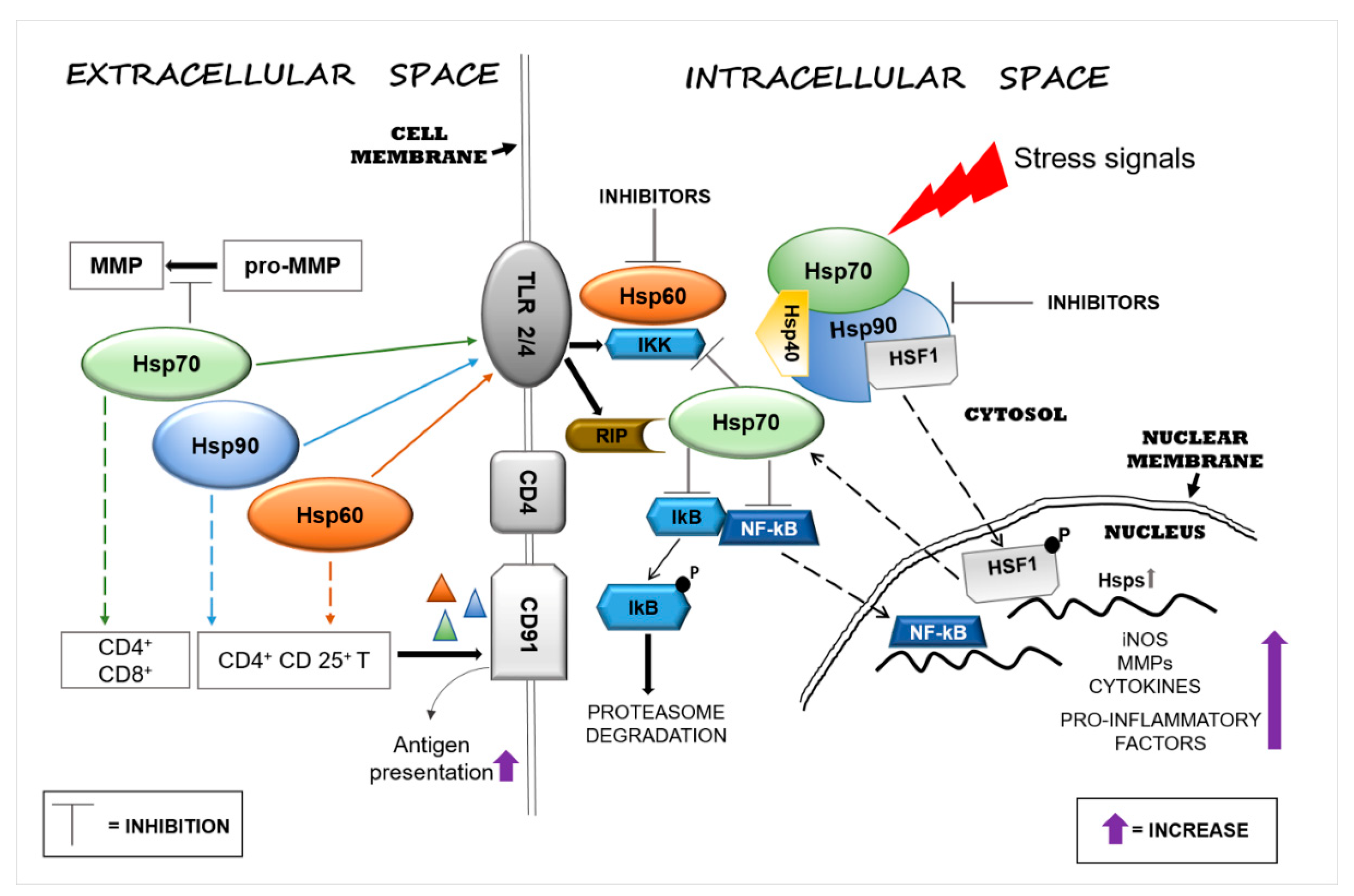 Applsci 11 00736 g001