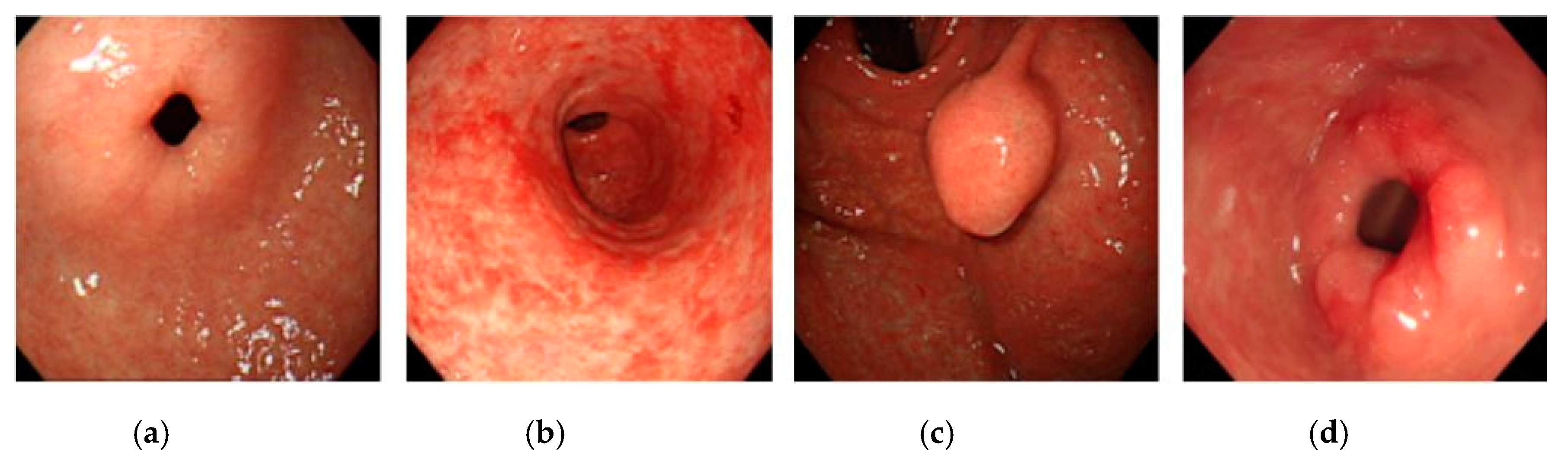 Applsci 11 00760 g002
