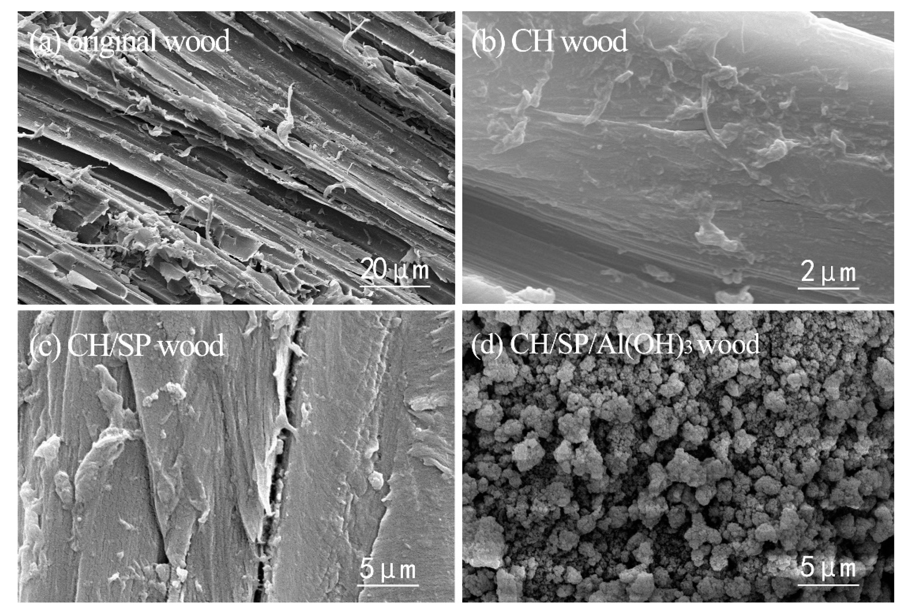 Applsci 11 00836 g002