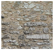 Applsci 11 00849 i002 Applsci 11 00849 i002