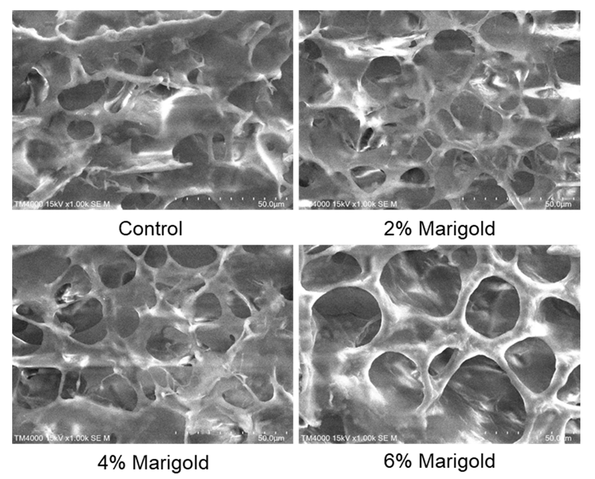 Applsci 11 00861 g003