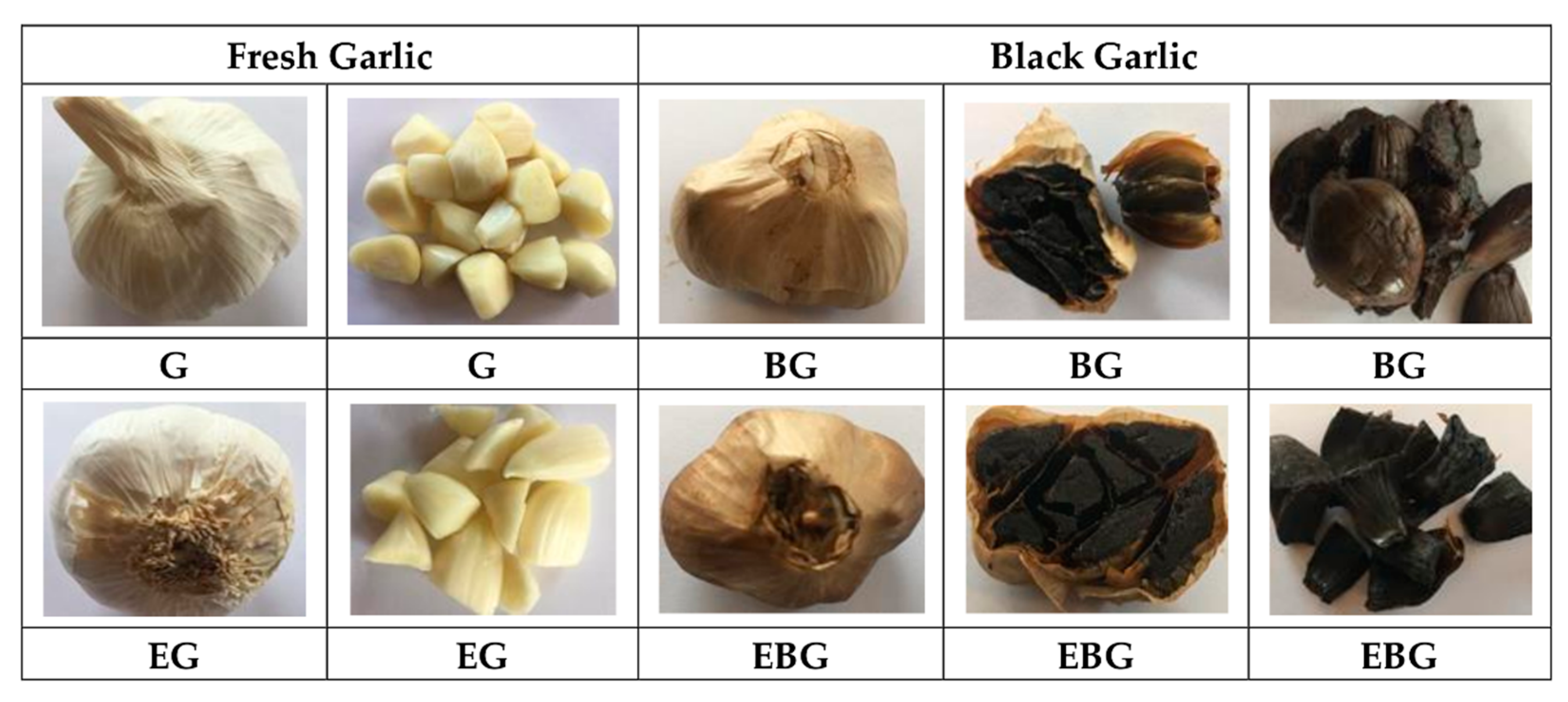 Applsci 11 00874 g001 Applsci 11 00874 g001