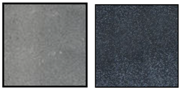 Applsci 11 00892 i002