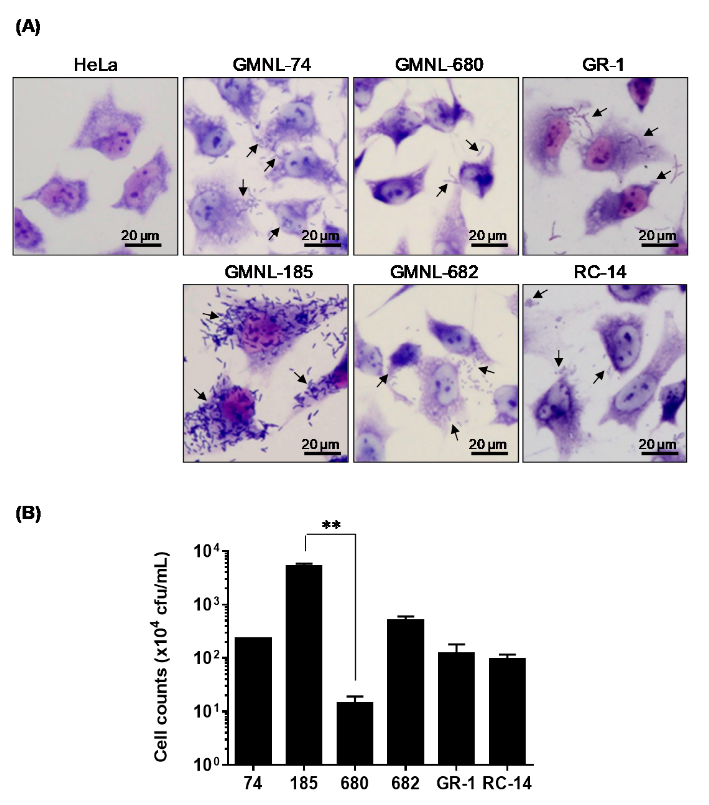 Applsci 11 00902 g001 Applsci 11 00902 g001