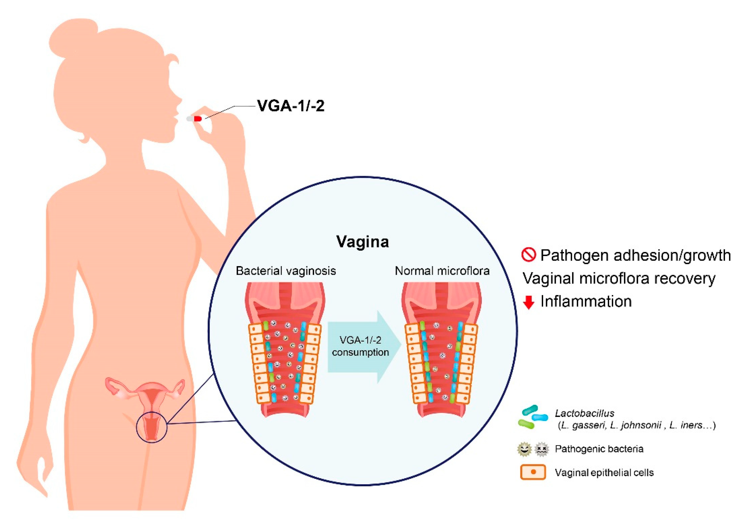 Applsci 11 00902 g008 Applsci 11 00902 g008