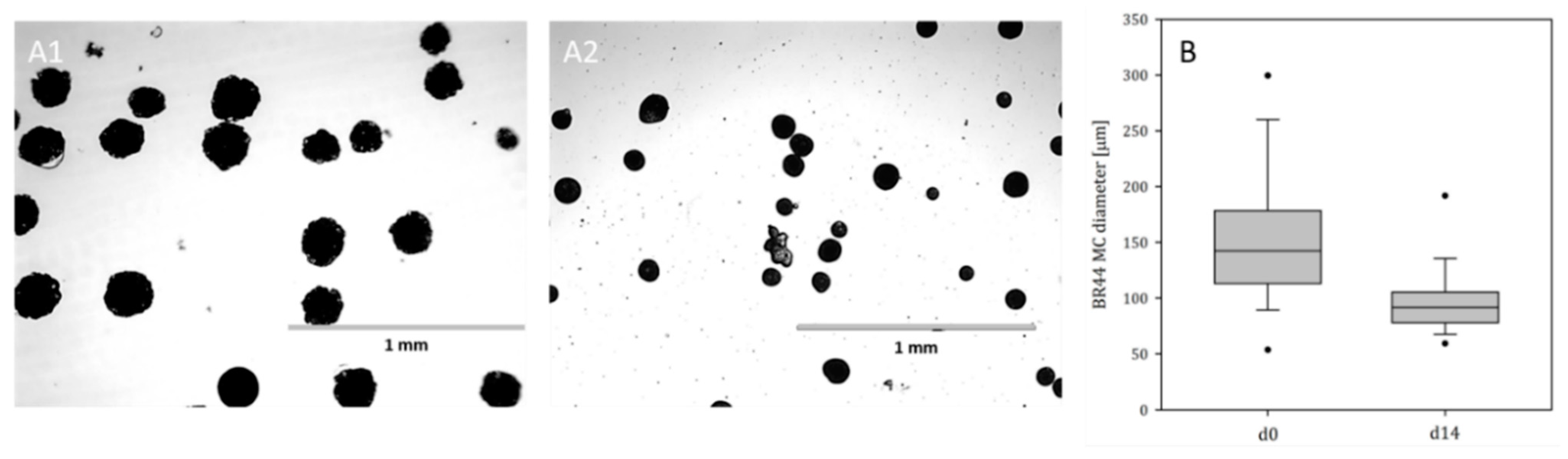 Applsci 11 00925 g006