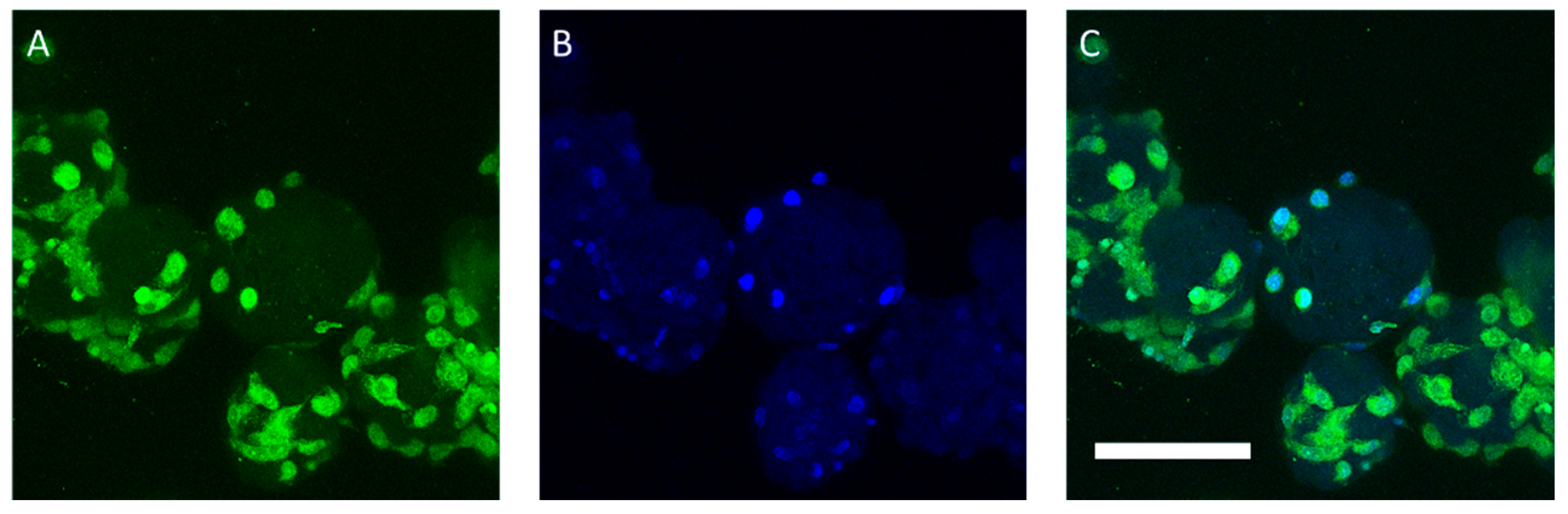 Applsci 11 00925 g008