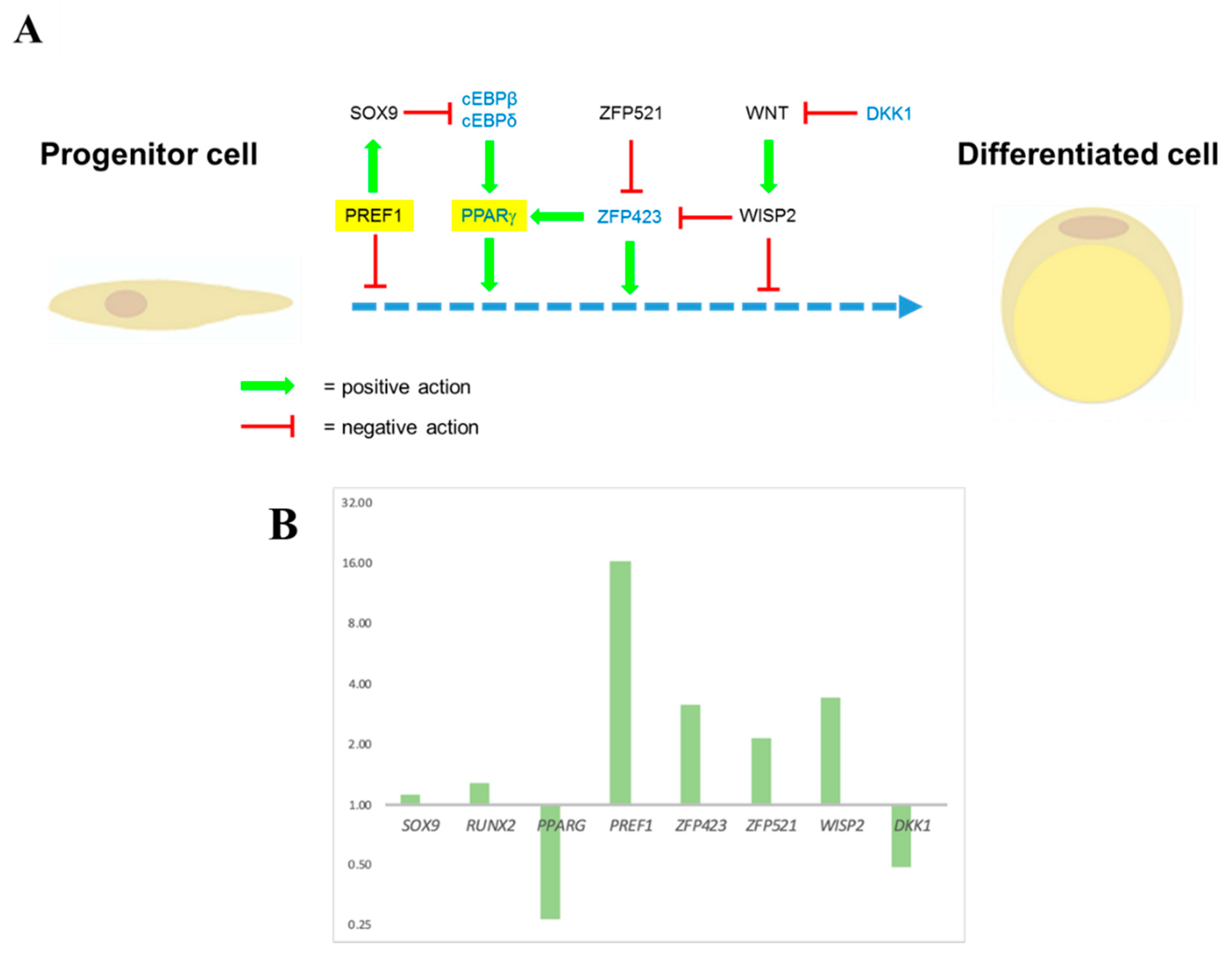 Applsci 11 00925 g010