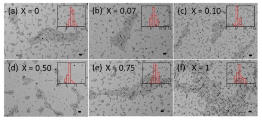 Applsci 11 00930 g001