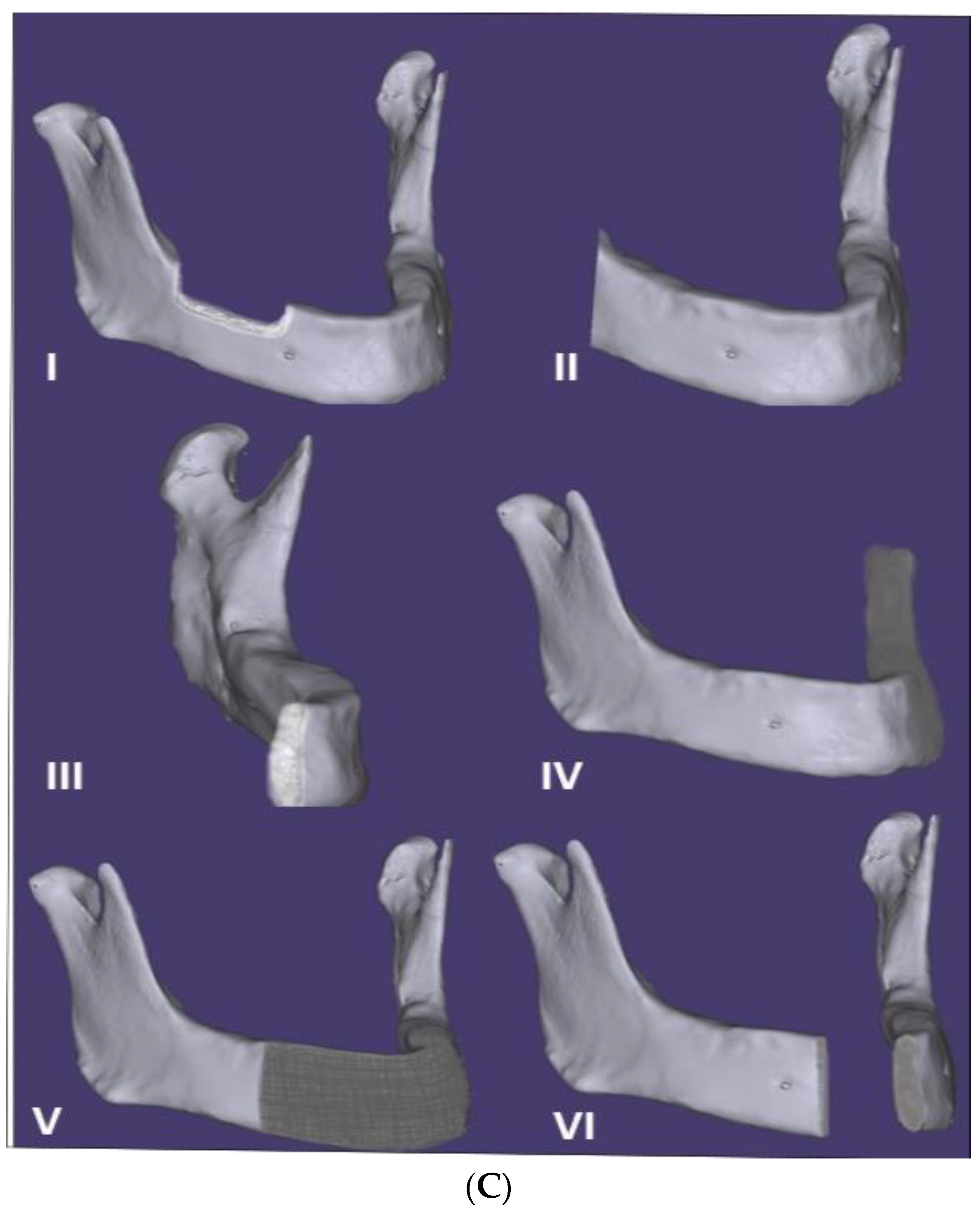 Applsci 11 00973 g001b