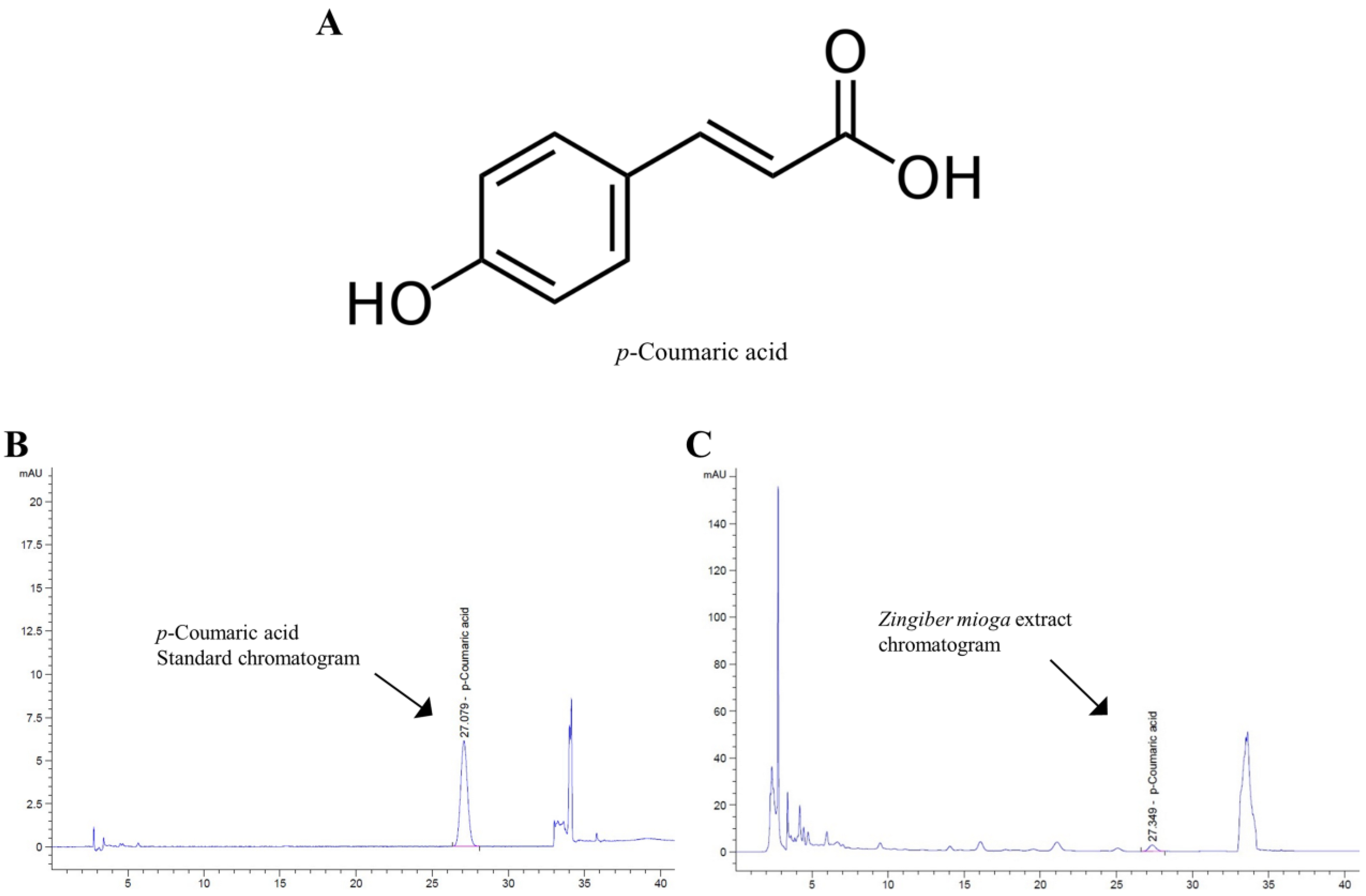 Applsci 11 00976 g001
