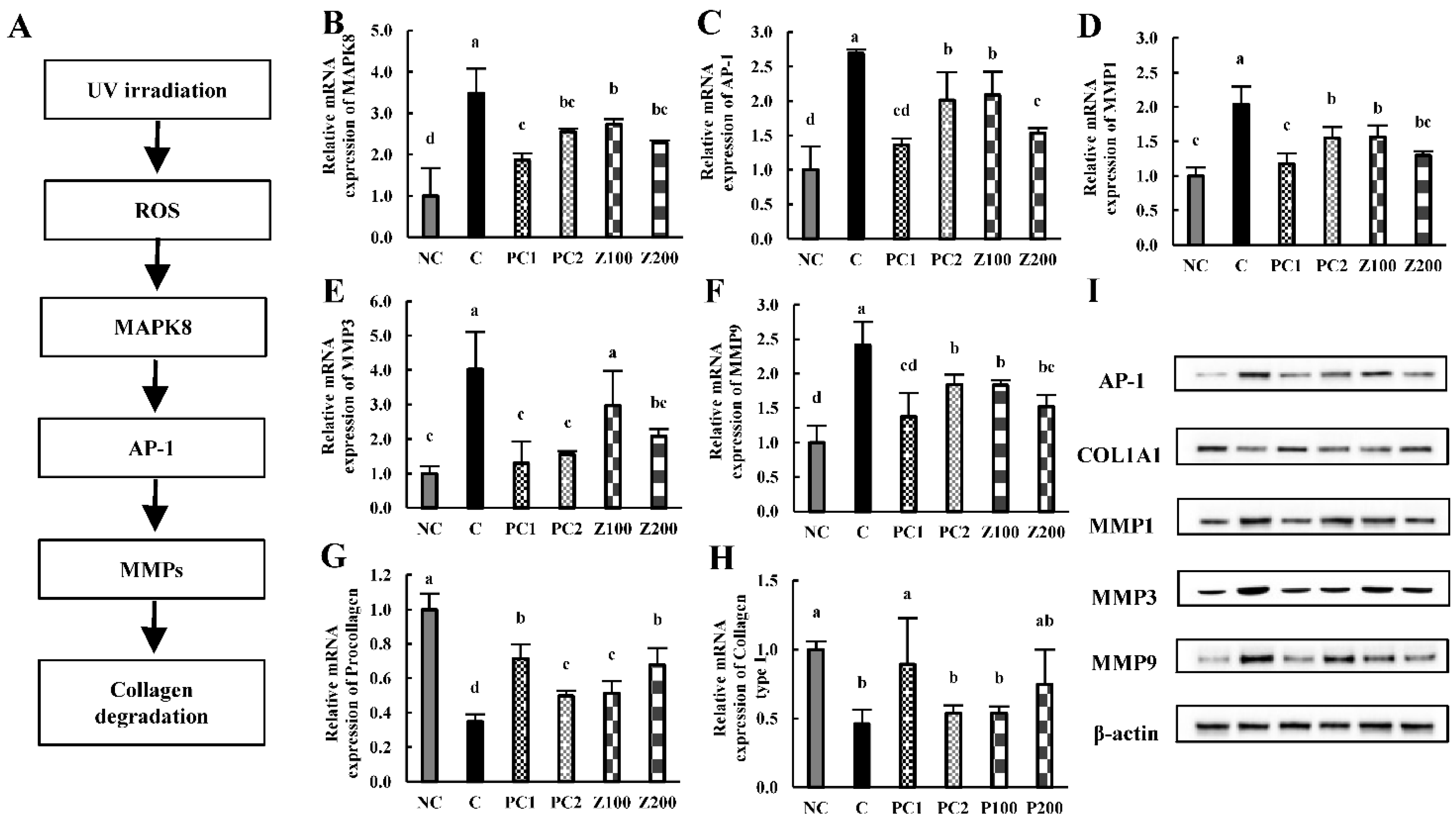 Applsci 11 00976 g004