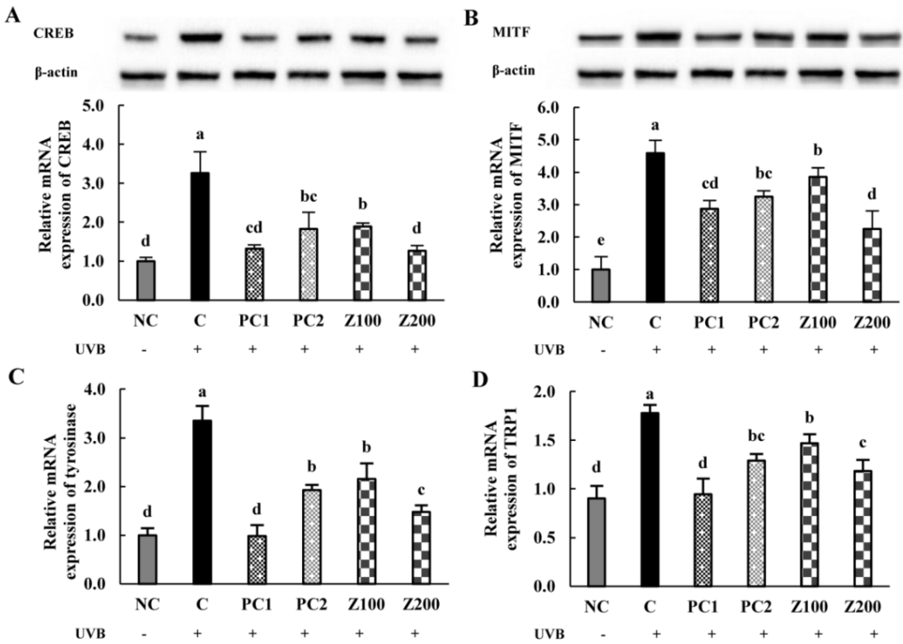 Applsci 11 00976 g006