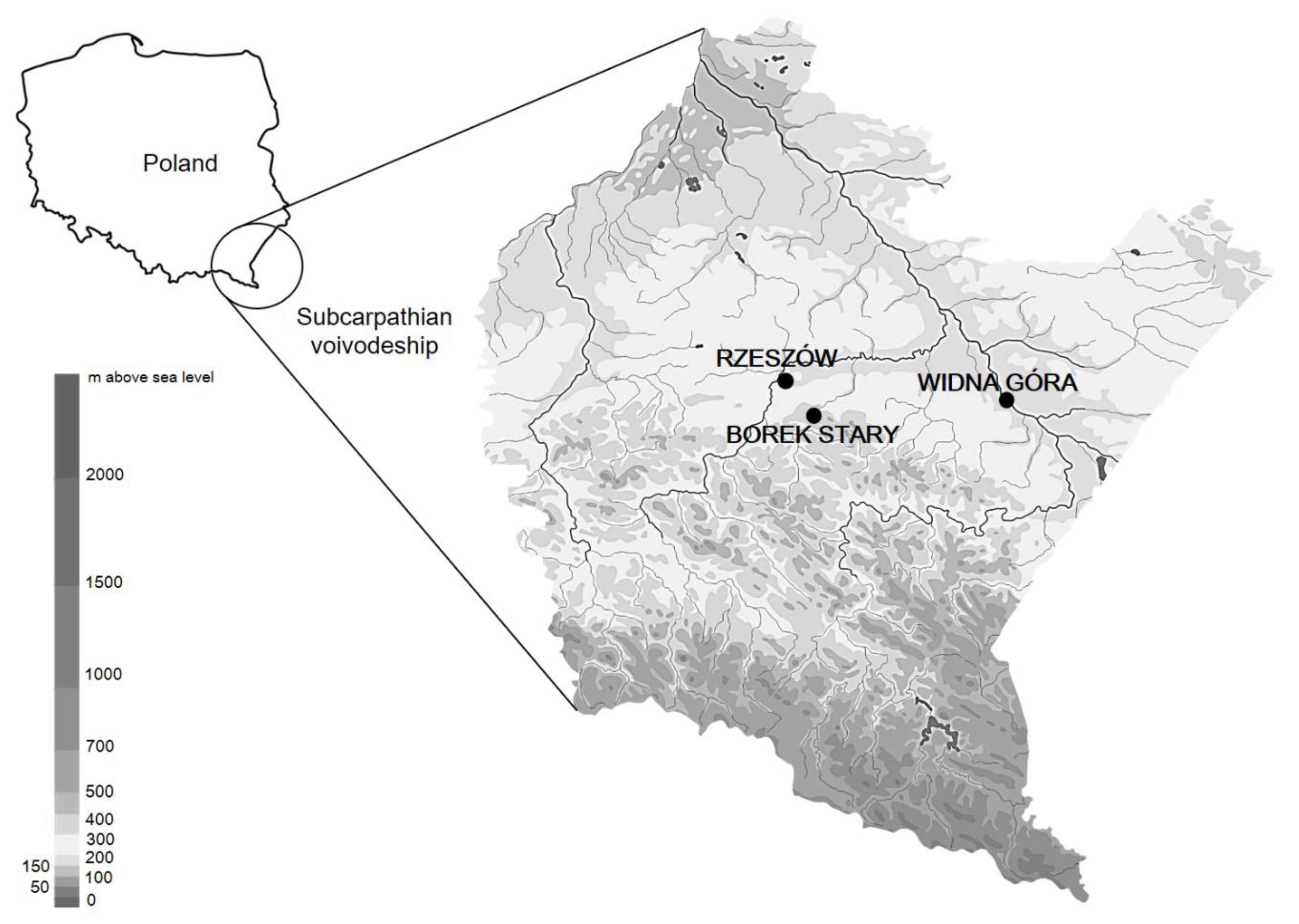 Applsci 11 01017 g001