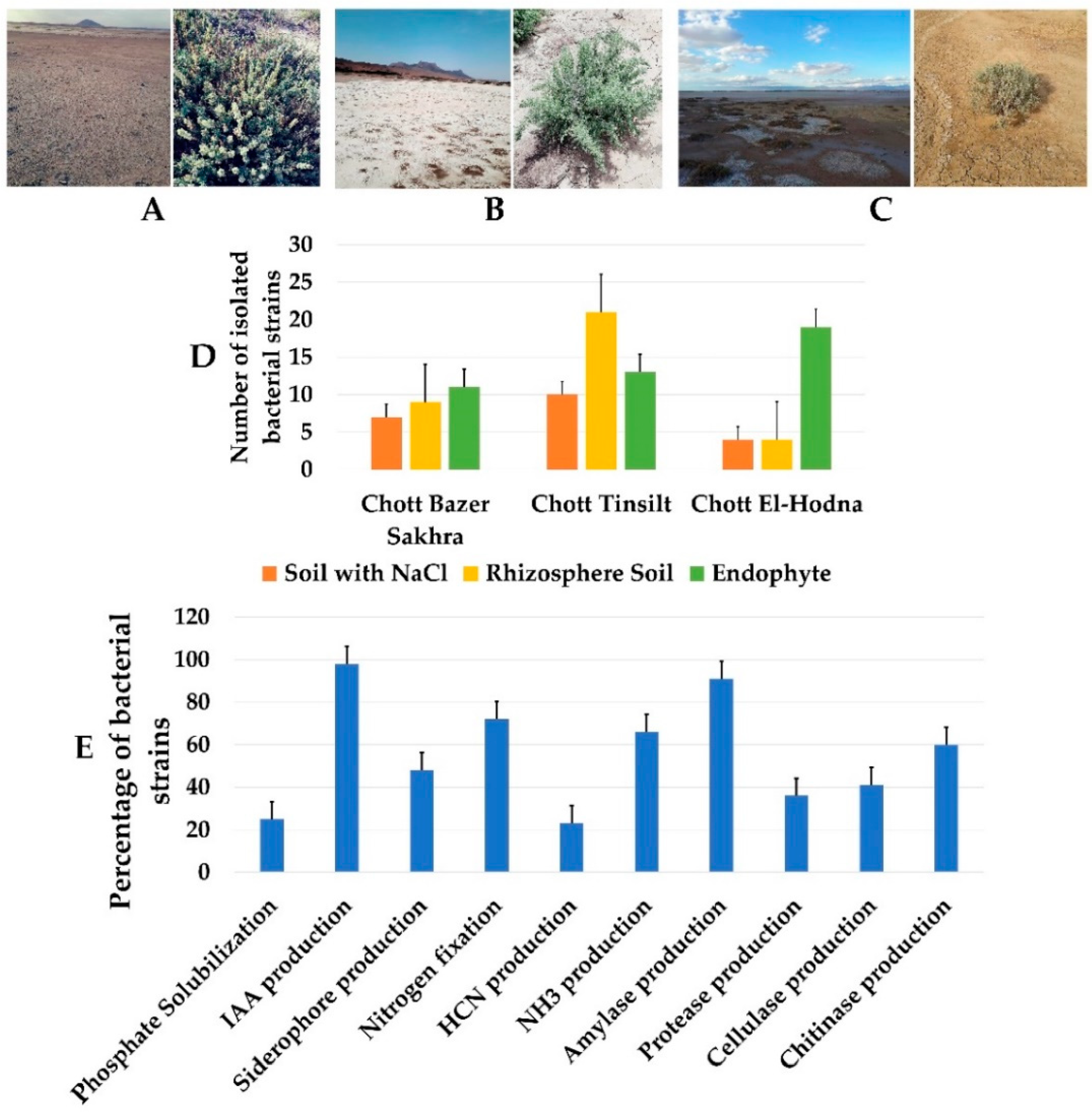 Applsci 11 01034 g001 Applsci 11 01034 g001