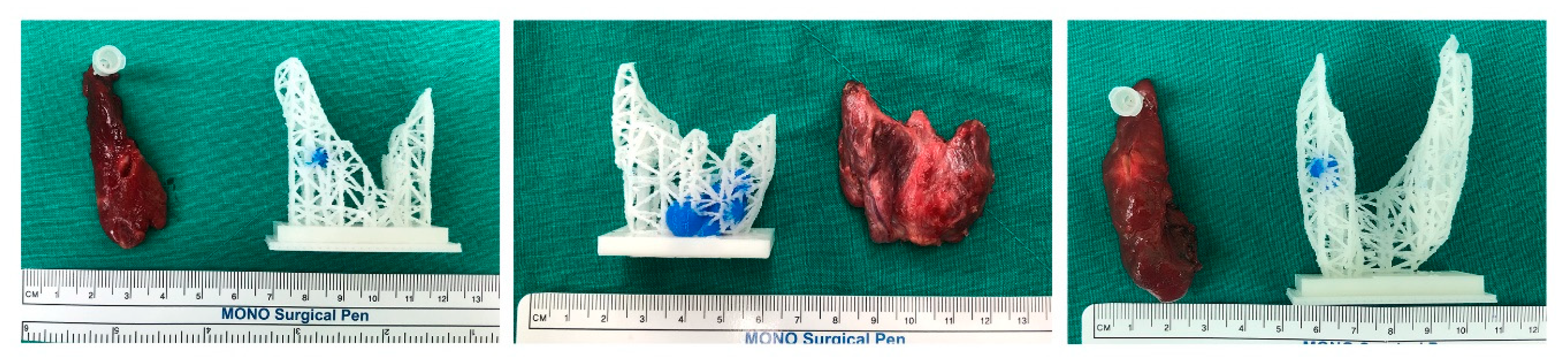 Applsci 11 01047 g003 Applsci 11 01047 g003