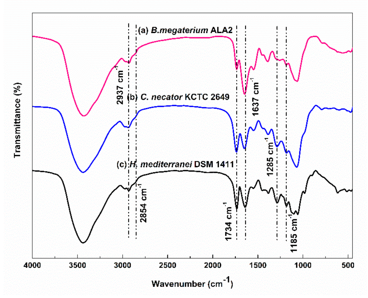Applsci 11 01094 g004 Applsci 11 01094 g004