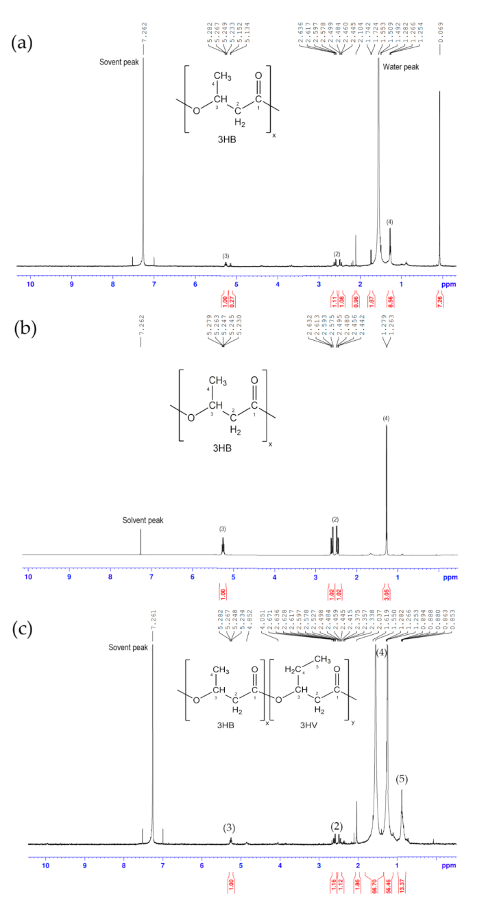 Applsci 11 01094 g005 Applsci 11 01094 g005