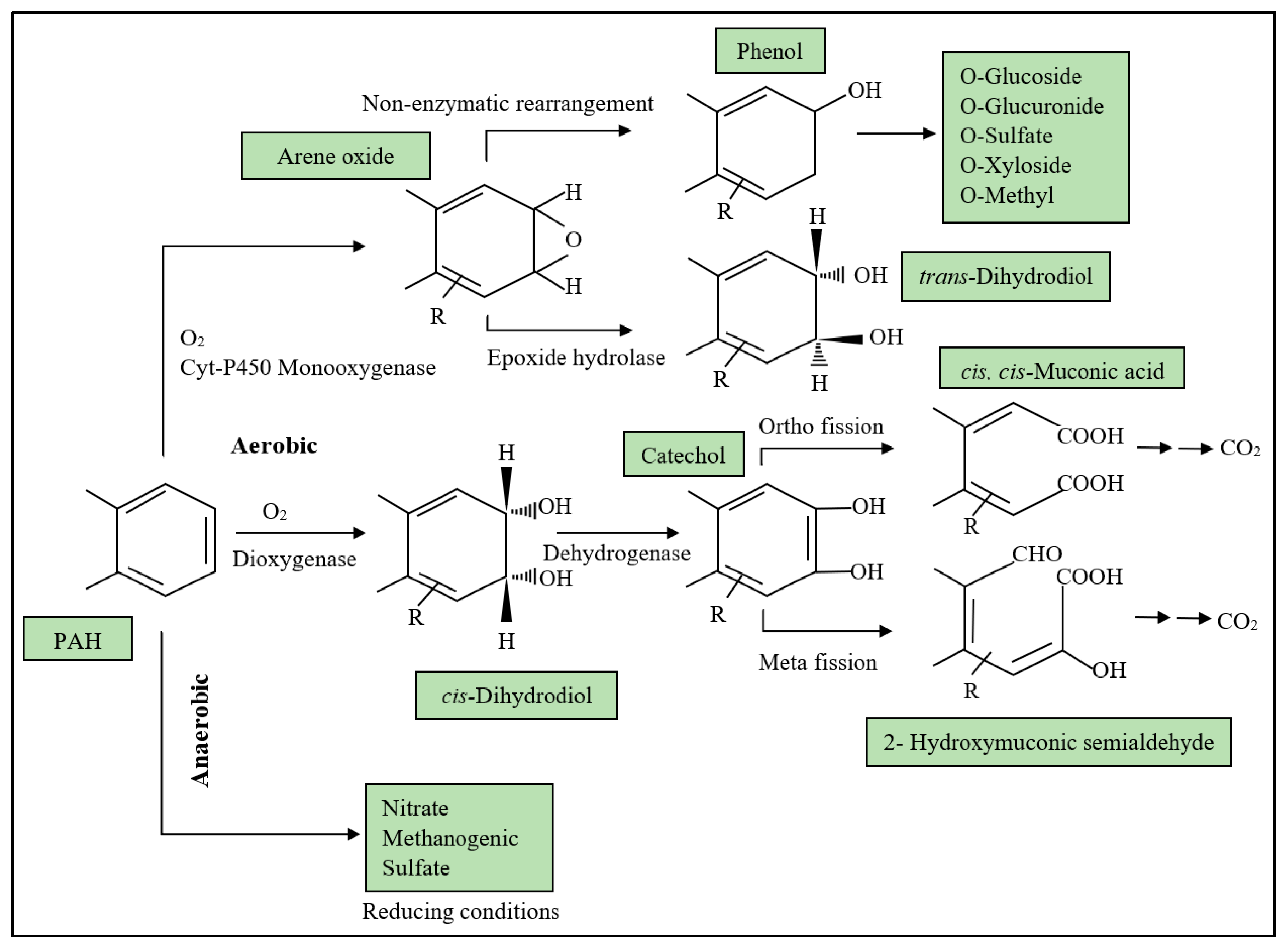 Applsci 11 01123 g003