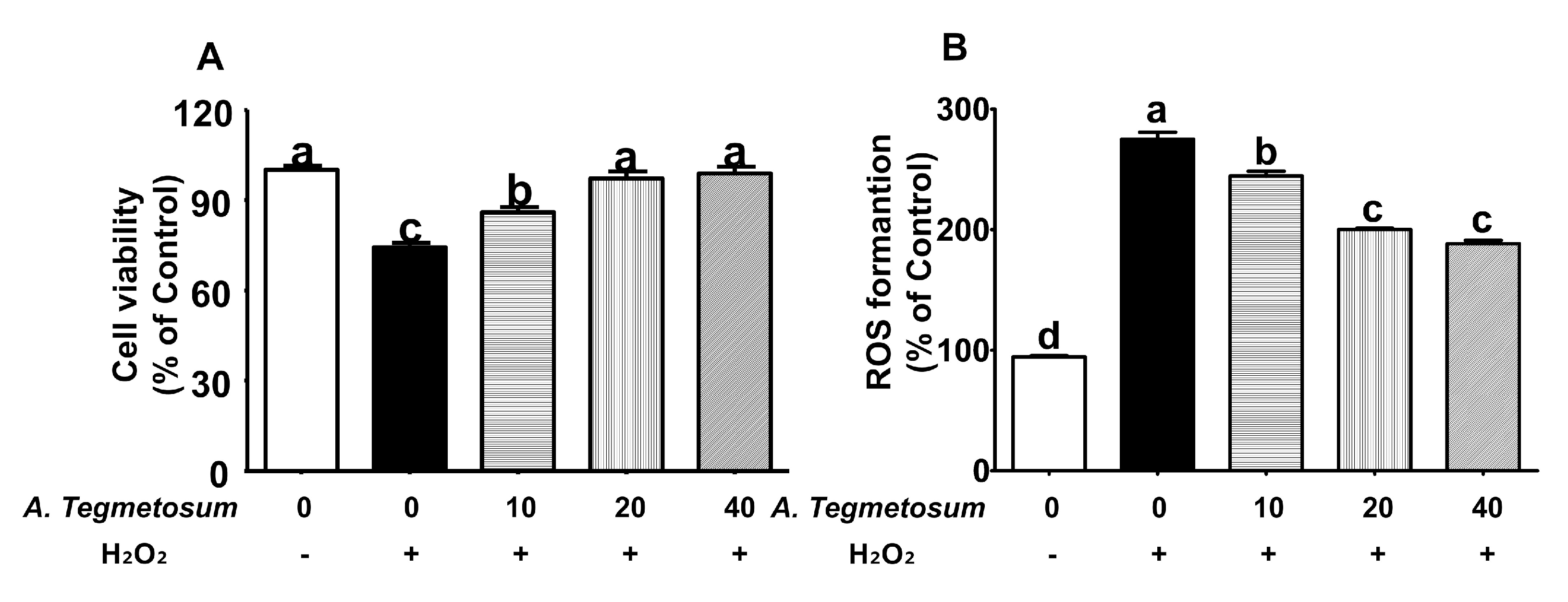 Applsci 11 01134 g006