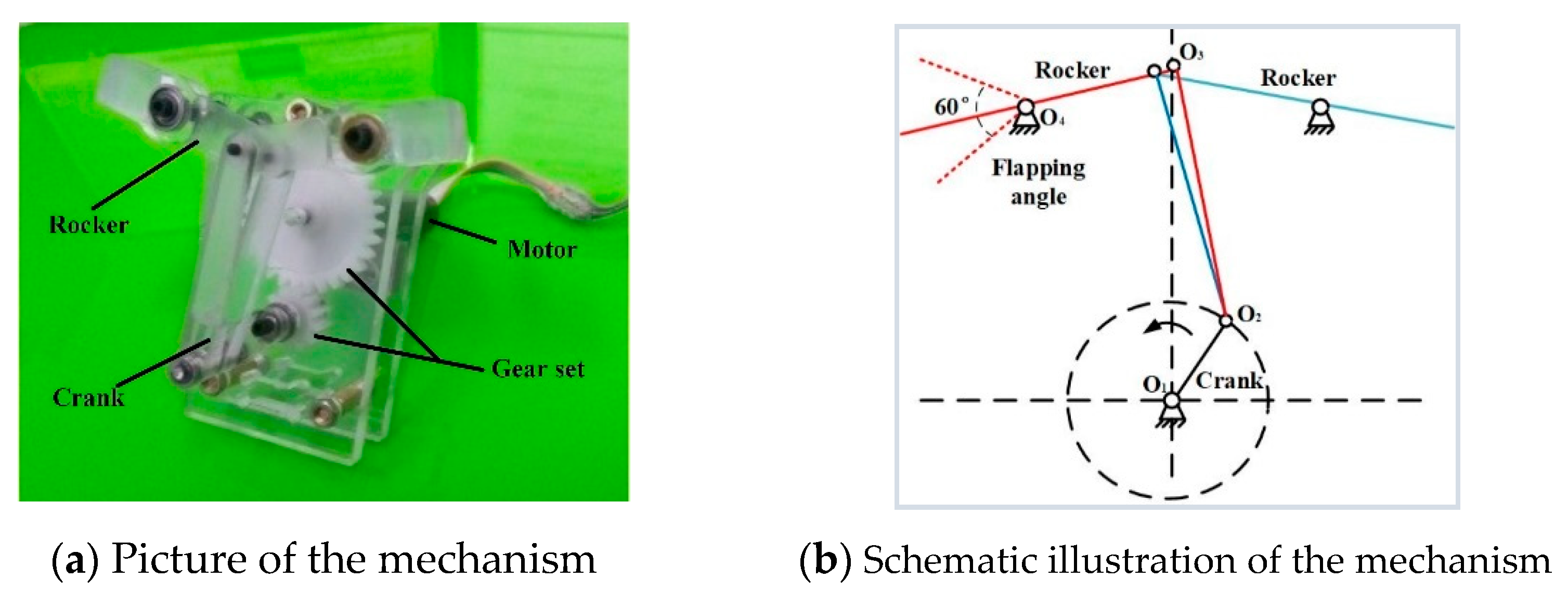 Applsci 11 01166 g001