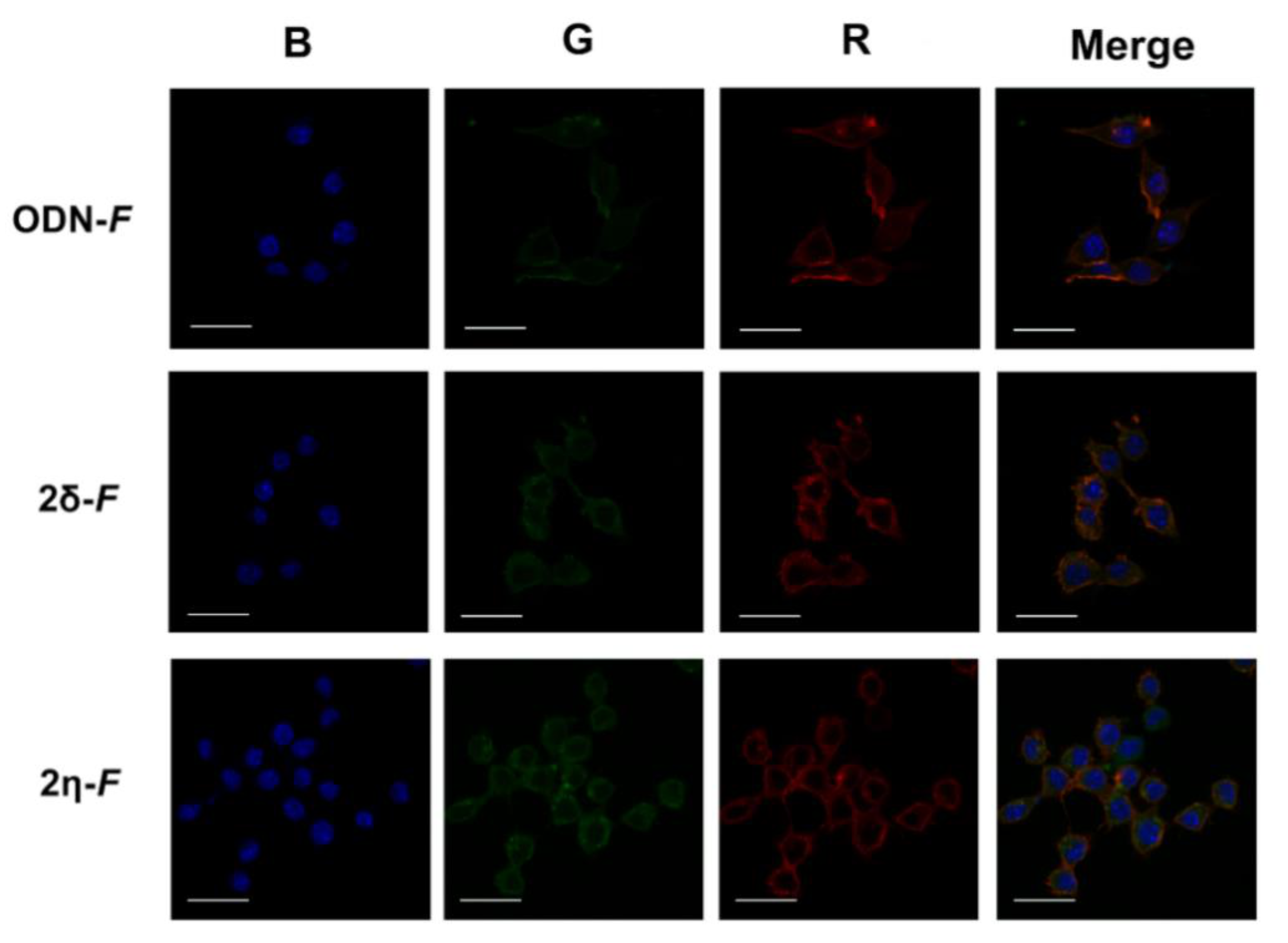 Applsci 11 01174 g006