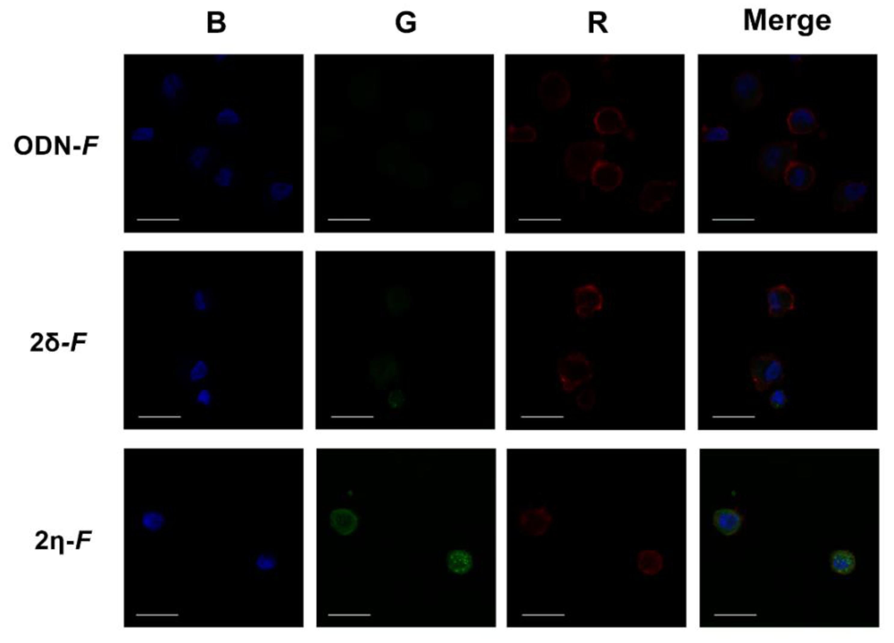 Applsci 11 01174 g007