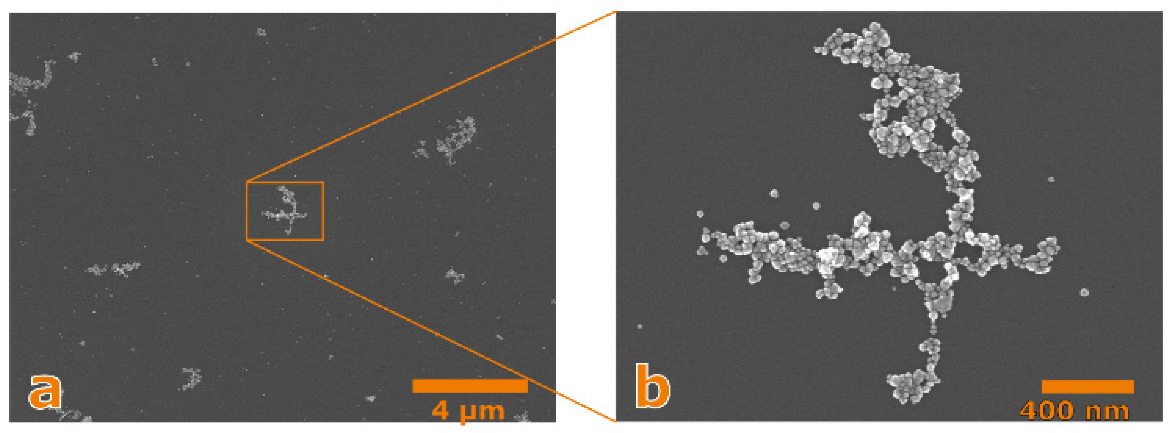 Applsci 11 01191 g004 Applsci 11 01191 g004