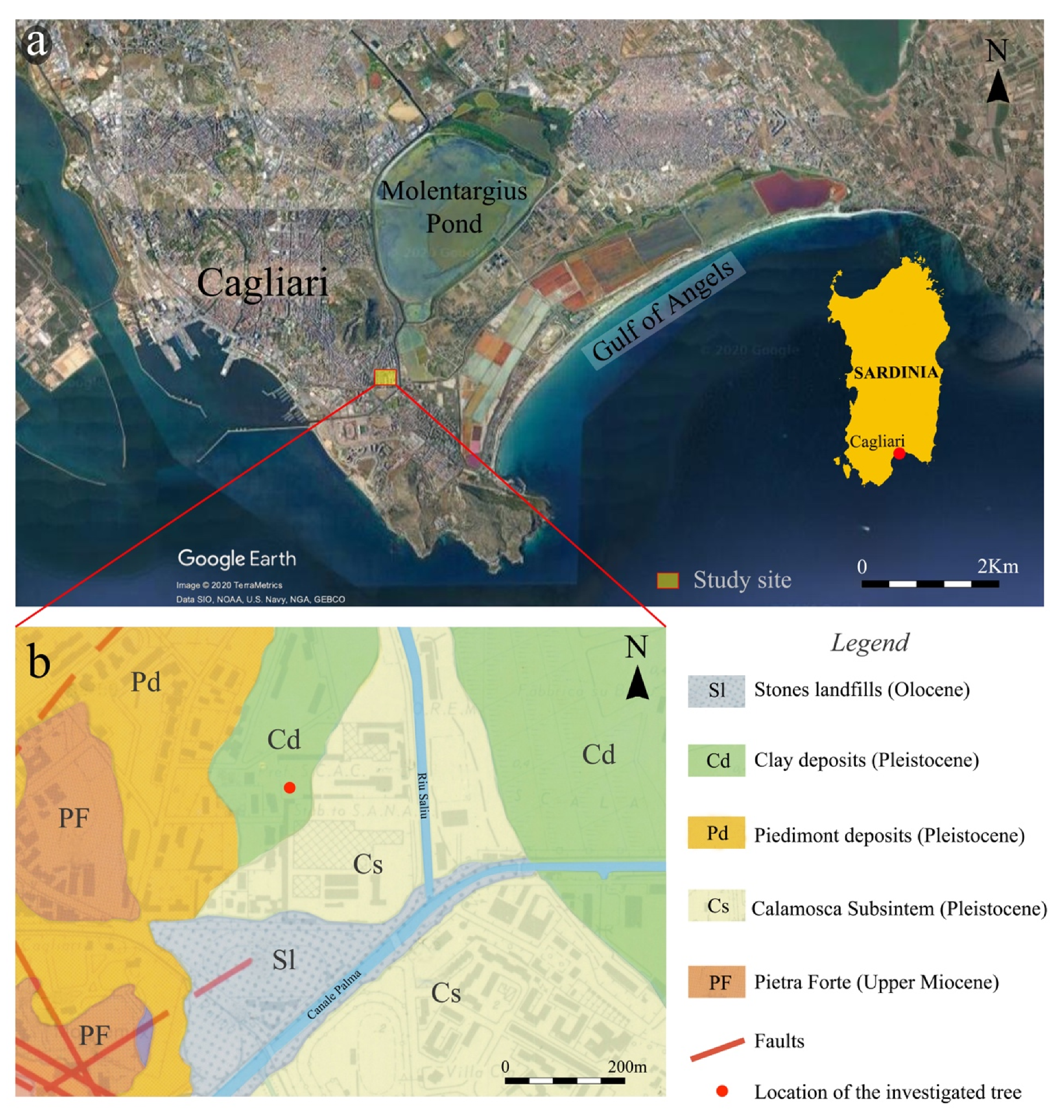 Applsci 11 01199 g001 Applsci 11 01199 g001