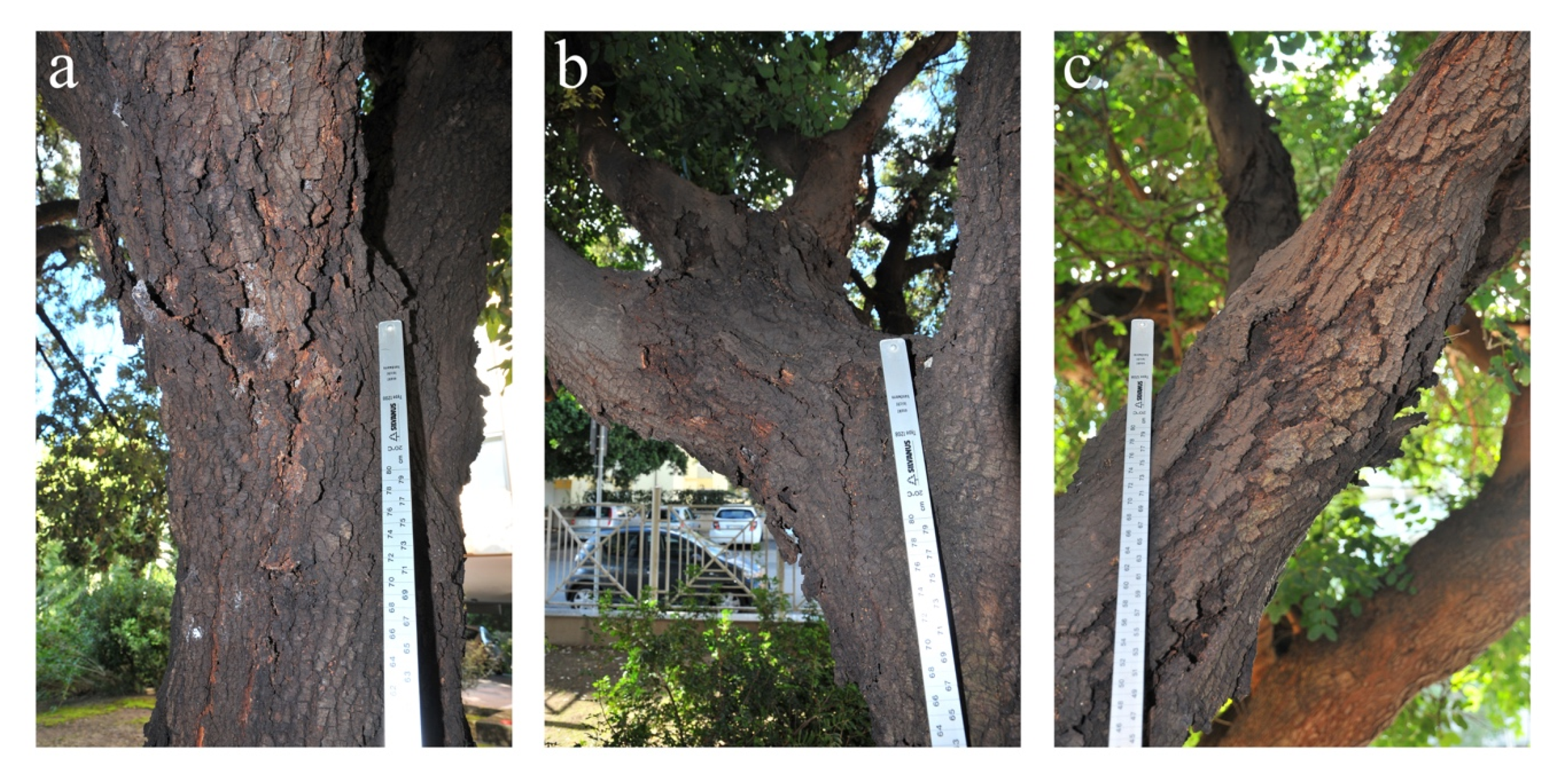 Applsci 11 01199 g002 Applsci 11 01199 g002