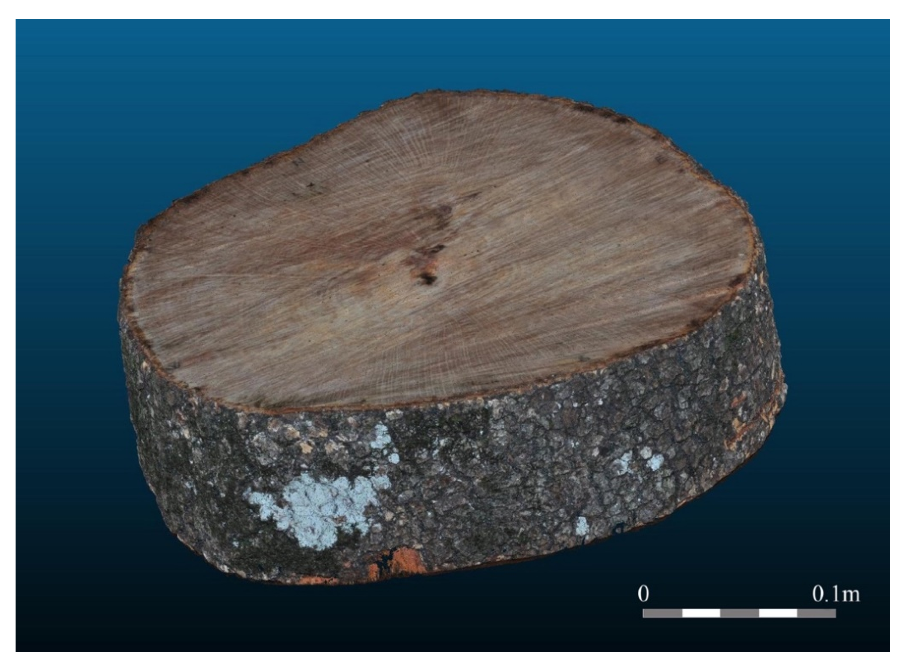 Applsci 11 01199 g004 Applsci 11 01199 g004