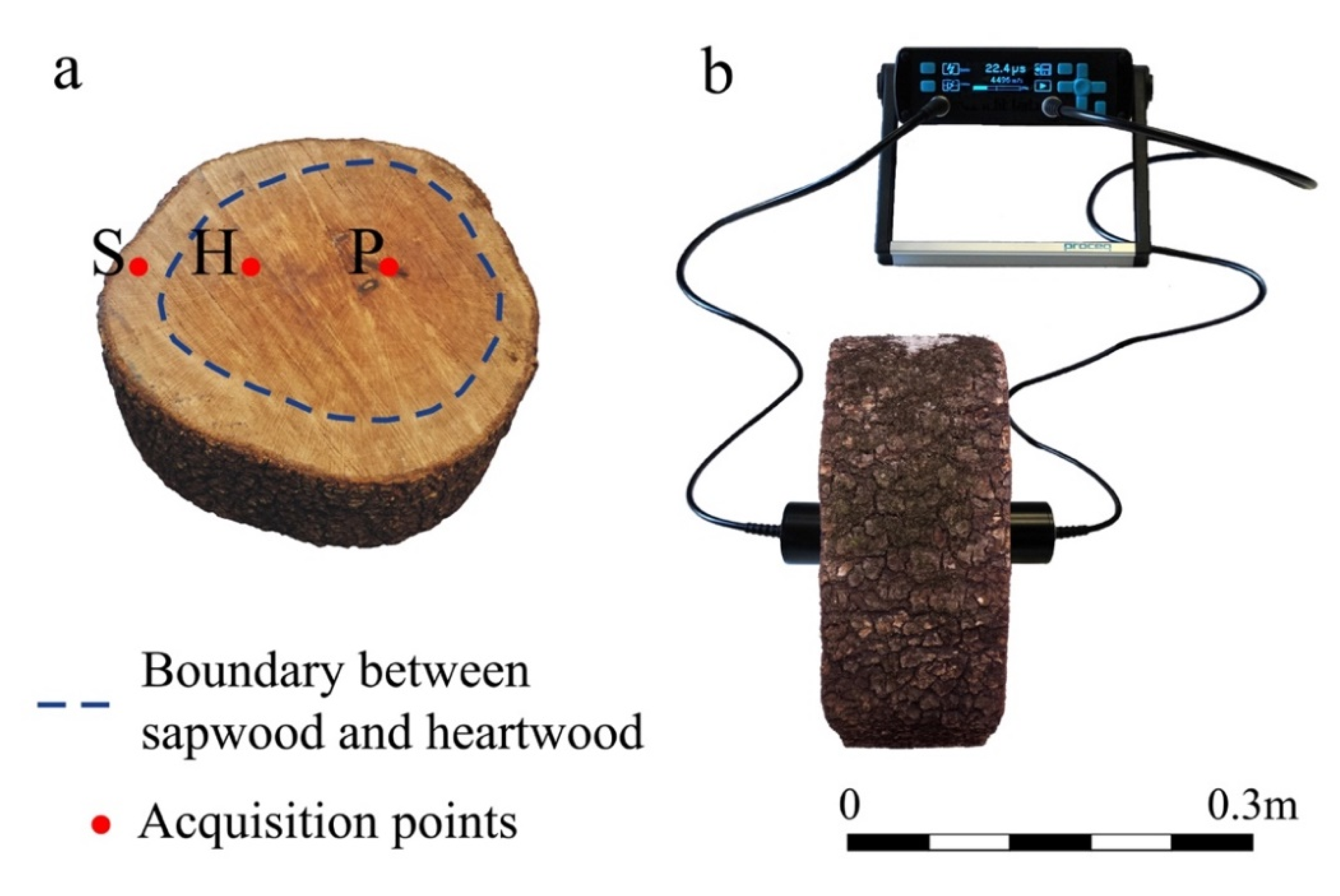 Applsci 11 01199 g005 Applsci 11 01199 g005