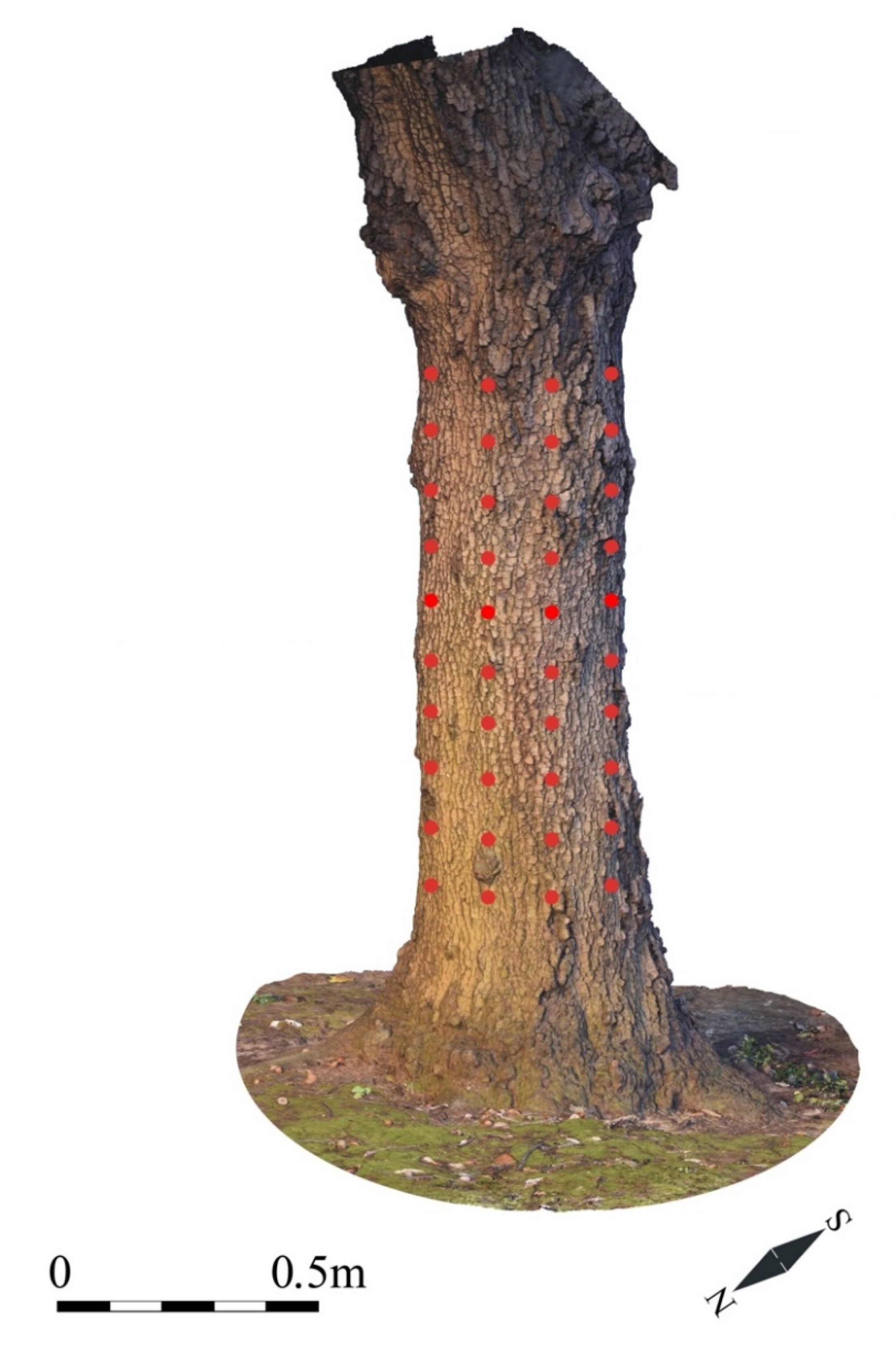 Applsci 11 01199 g006 Applsci 11 01199 g006