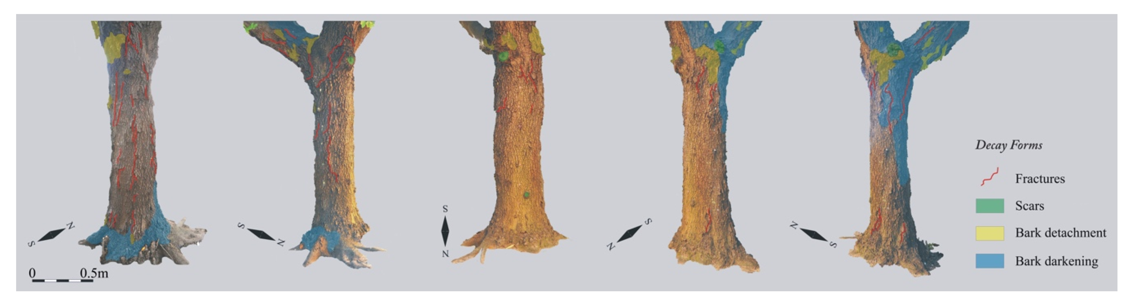 Applsci 11 01199 g007 Applsci 11 01199 g007