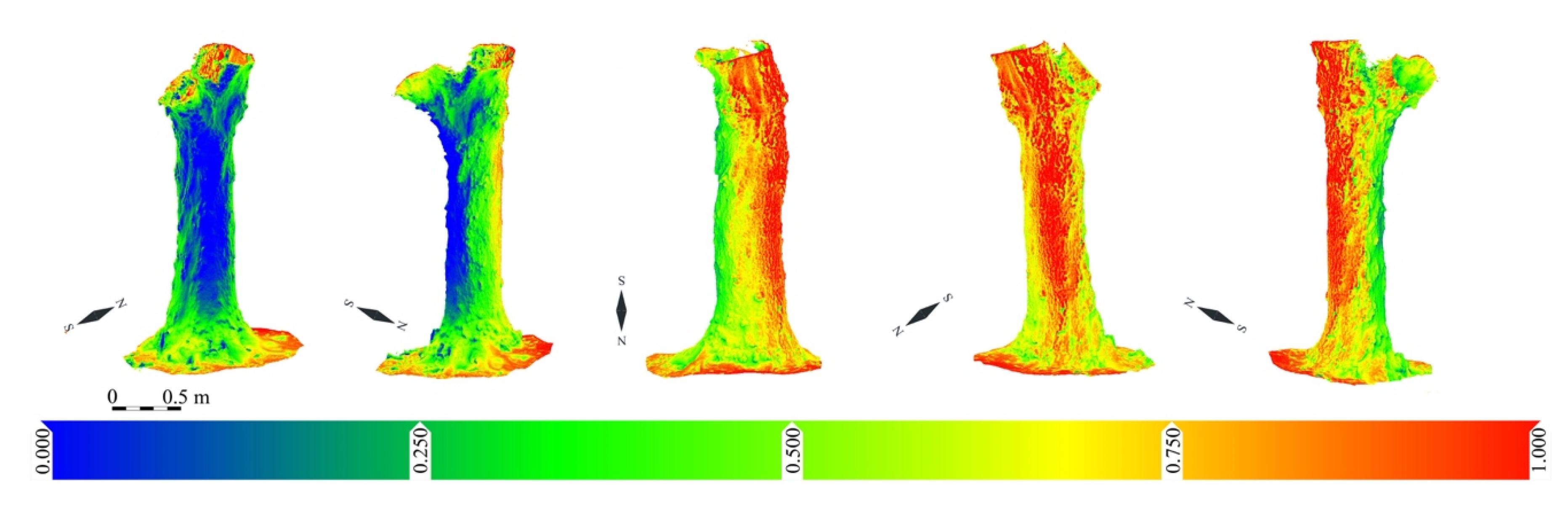 Applsci 11 01199 g010 Applsci 11 01199 g010