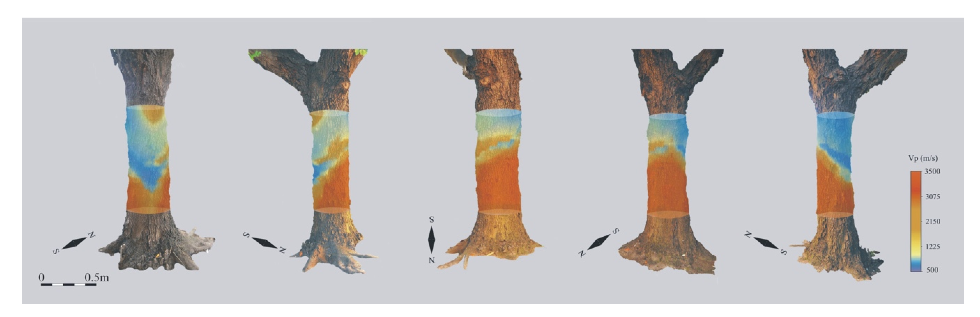 Applsci 11 01199 g011 Applsci 11 01199 g011