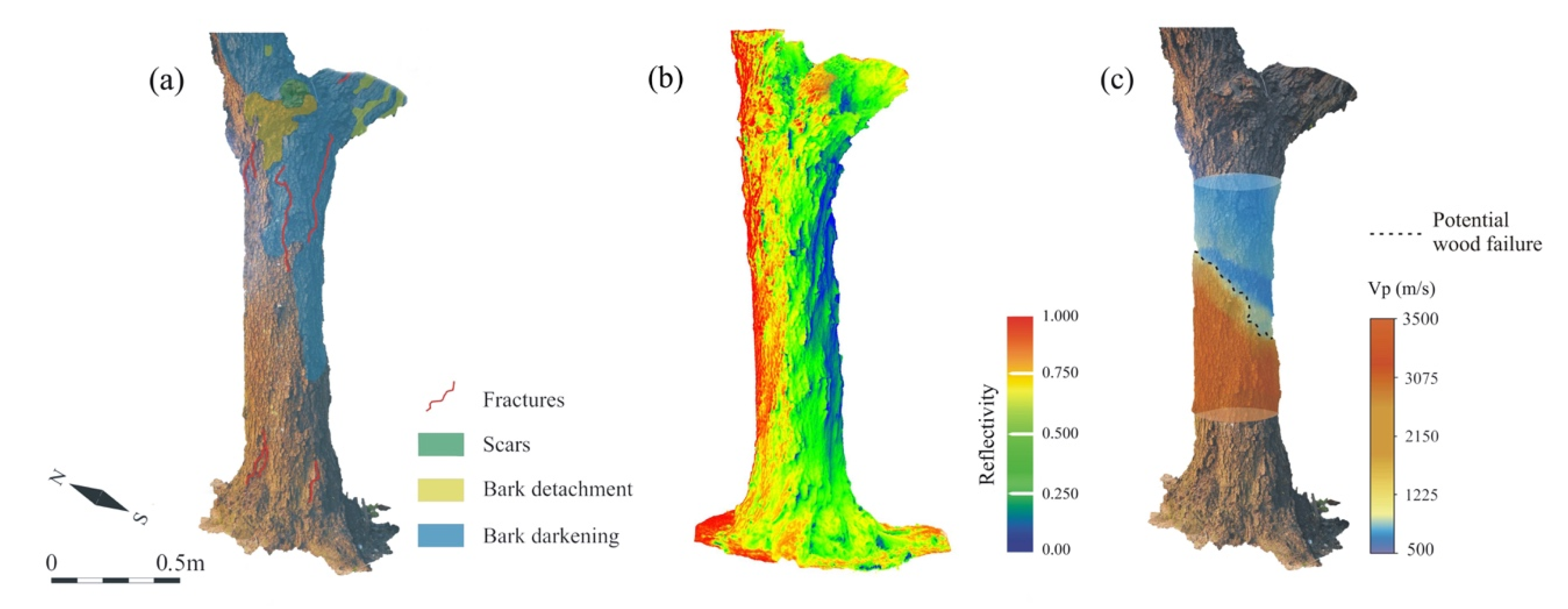 Applsci 11 01199 g012 Applsci 11 01199 g012