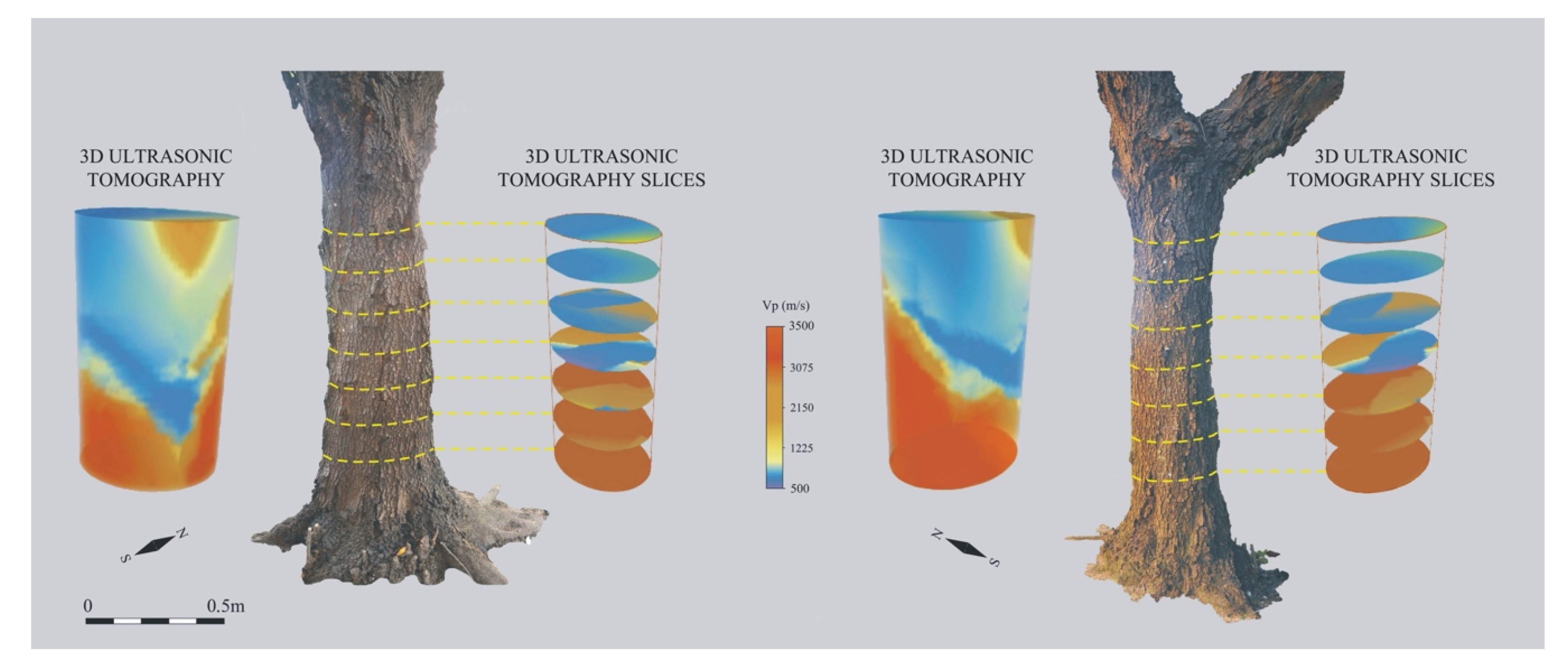 Applsci 11 01199 g013 Applsci 11 01199 g013