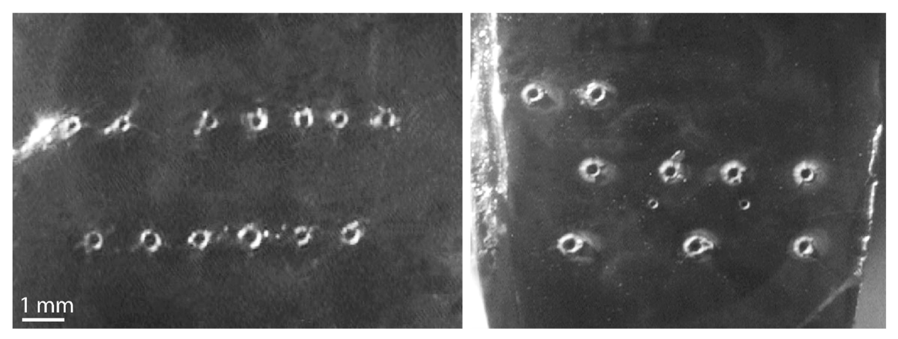 Applsci 11 01208 g005 Applsci 11 01208 g005