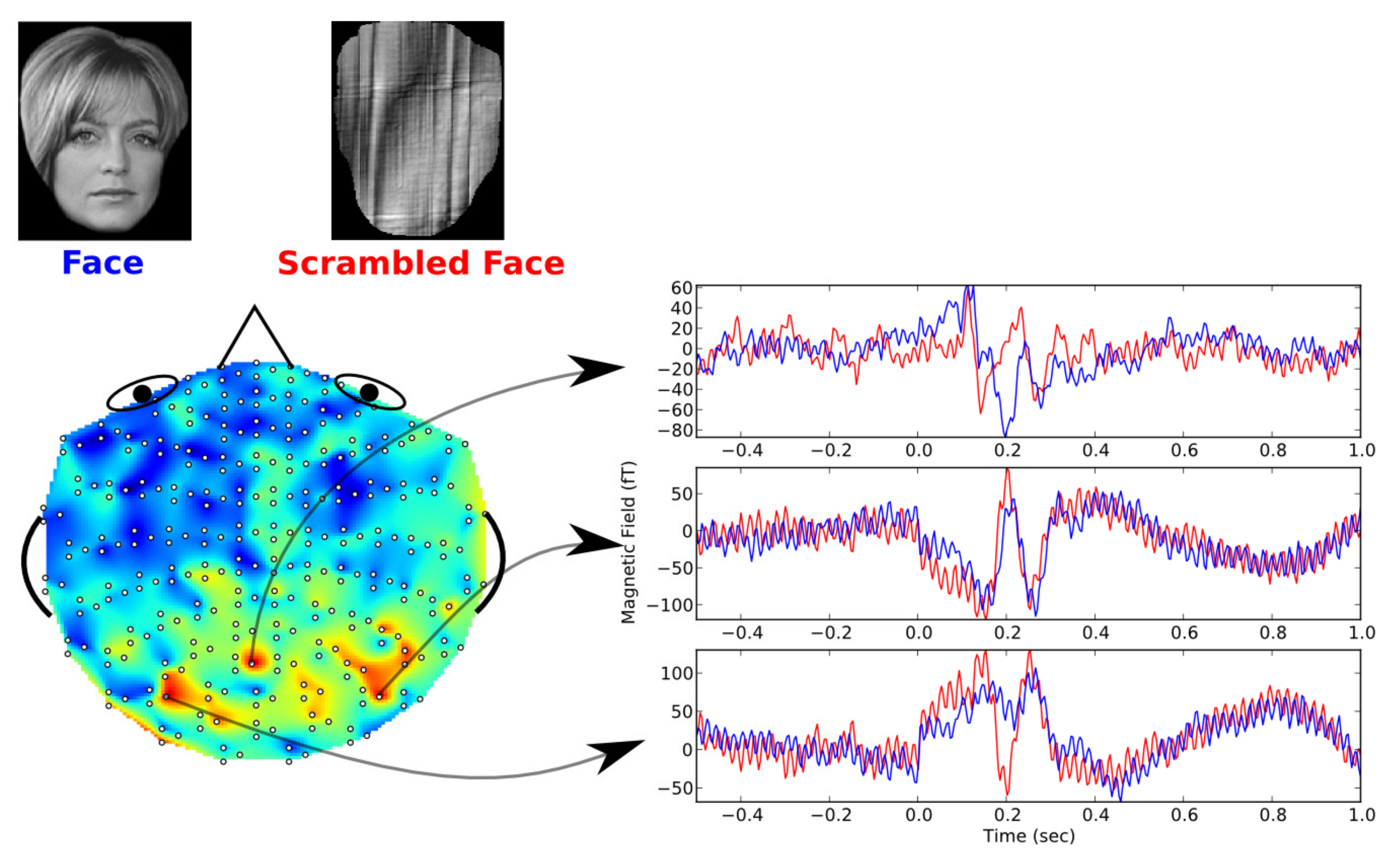 Applsci 11 01215 g001