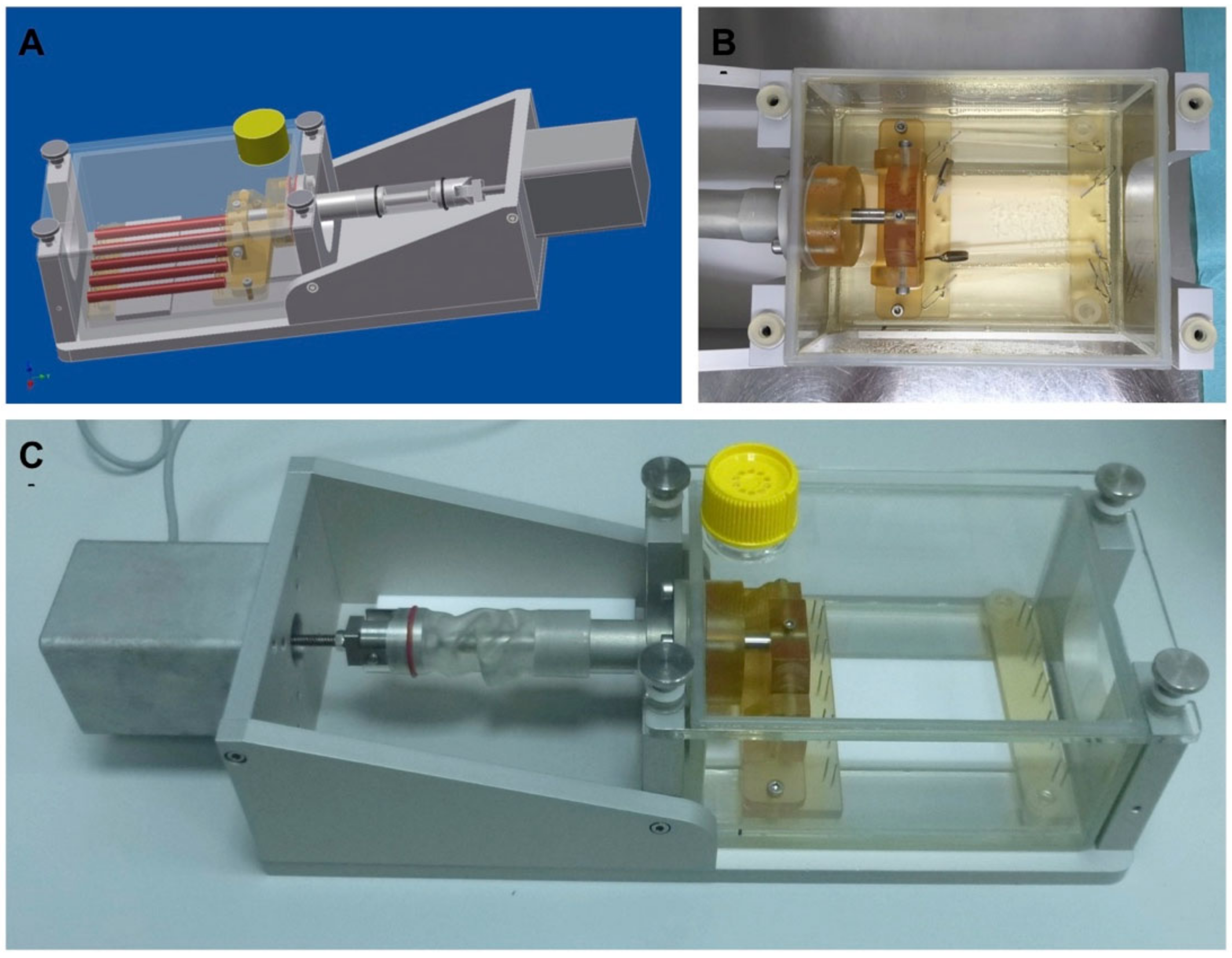 Applsci 11 01218 g002 Applsci 11 01218 g002