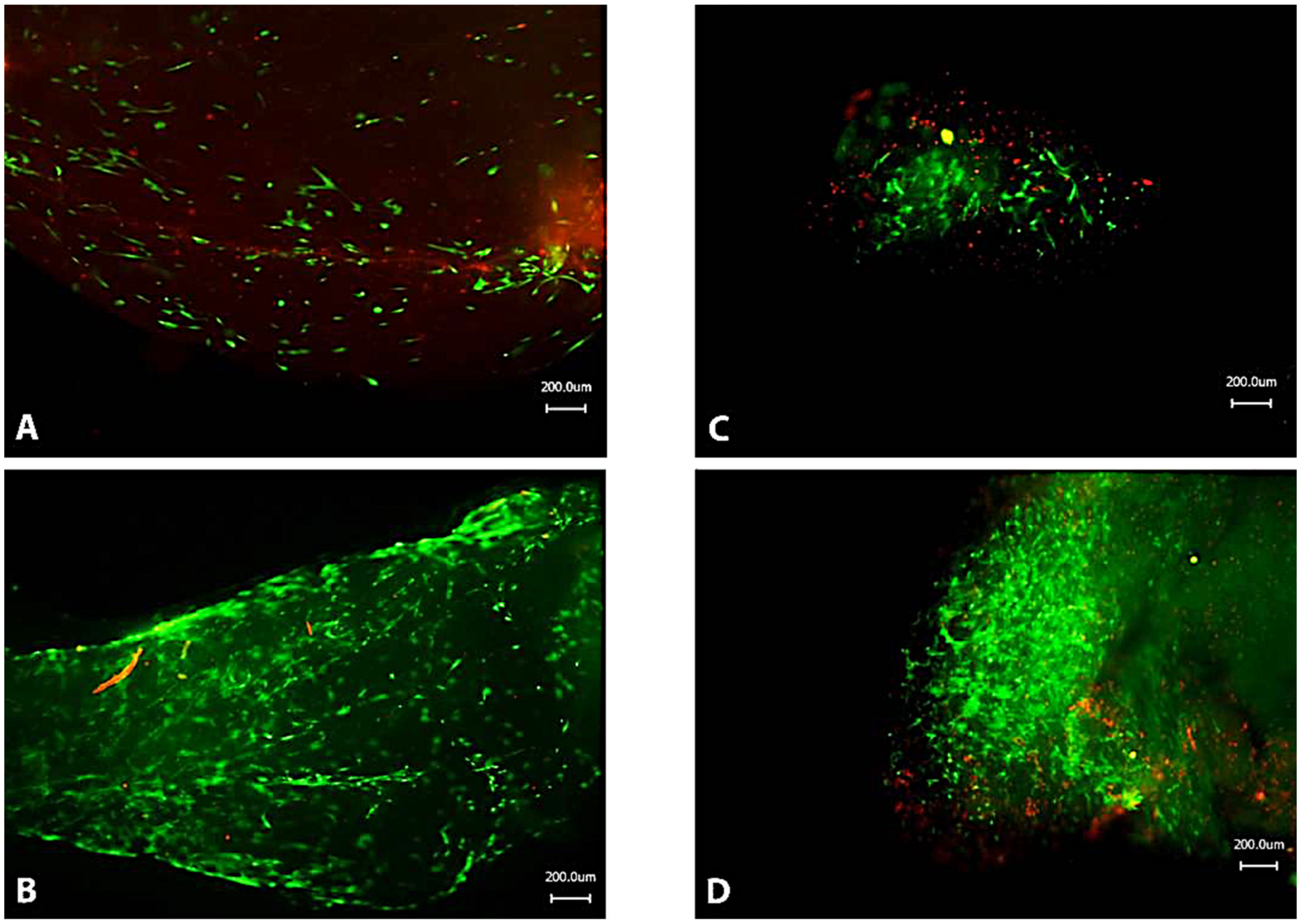 Applsci 11 01218 g005 Applsci 11 01218 g005