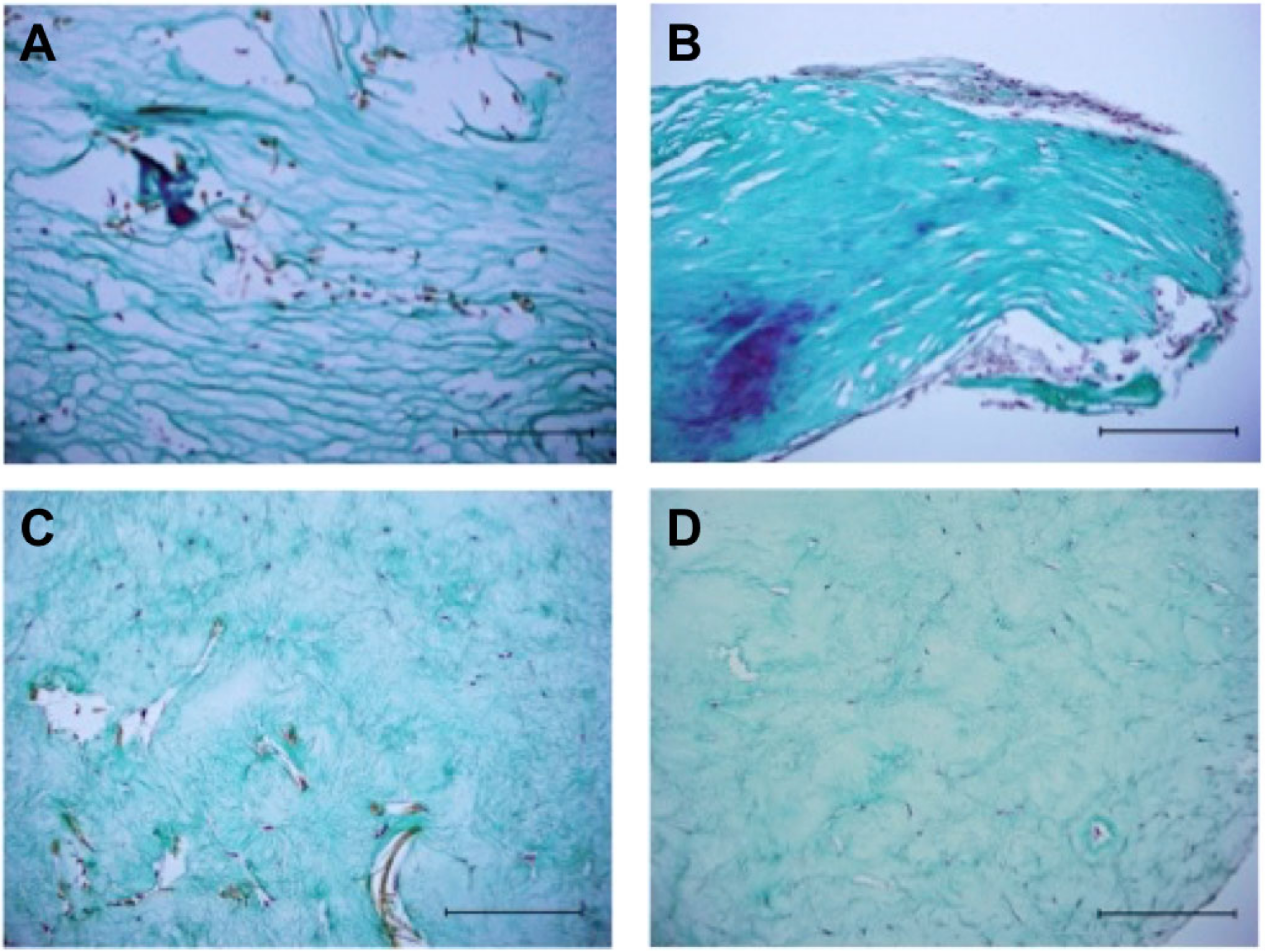 Applsci 11 01218 g006 Applsci 11 01218 g006