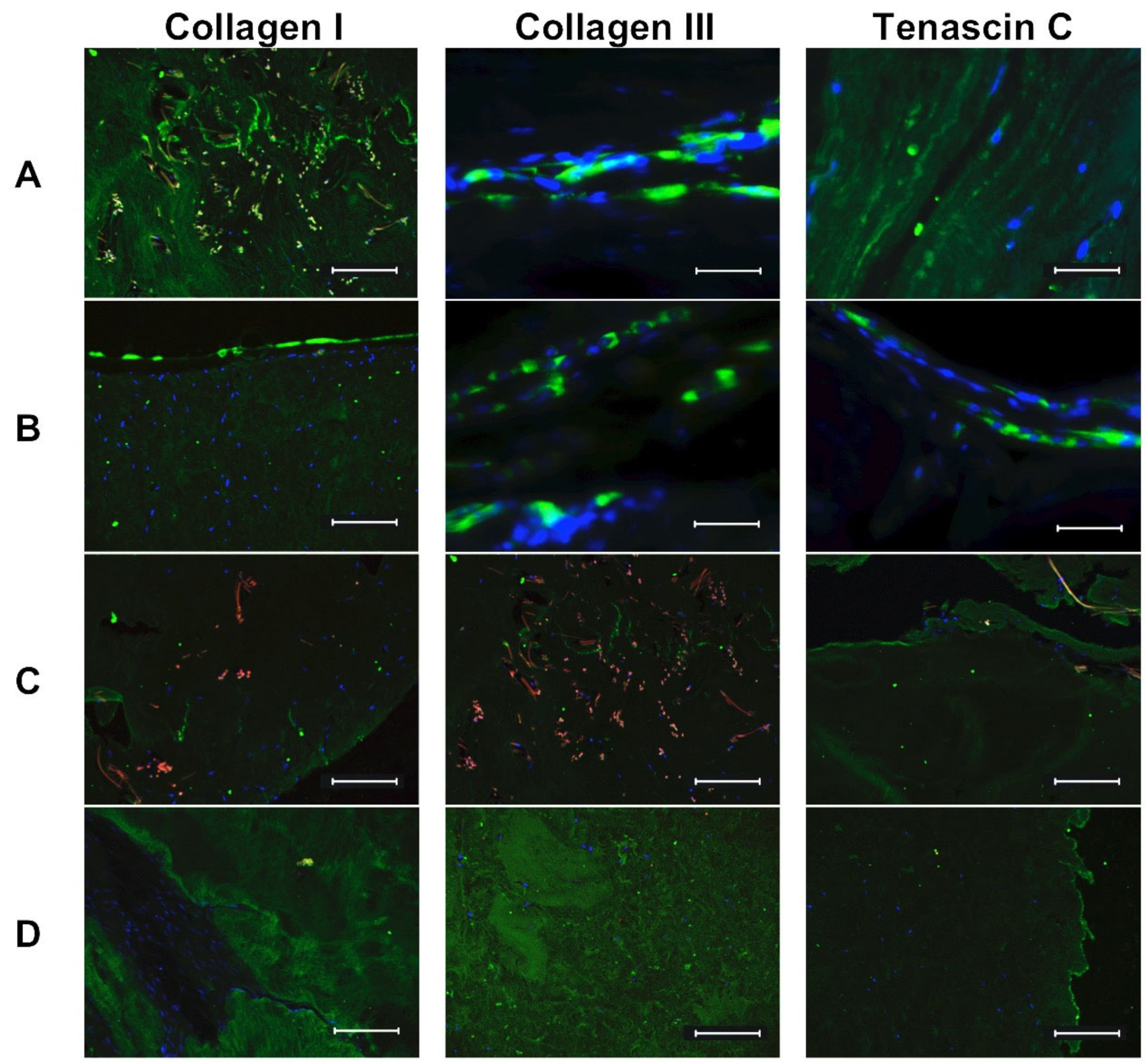 Applsci 11 01218 g007 Applsci 11 01218 g007