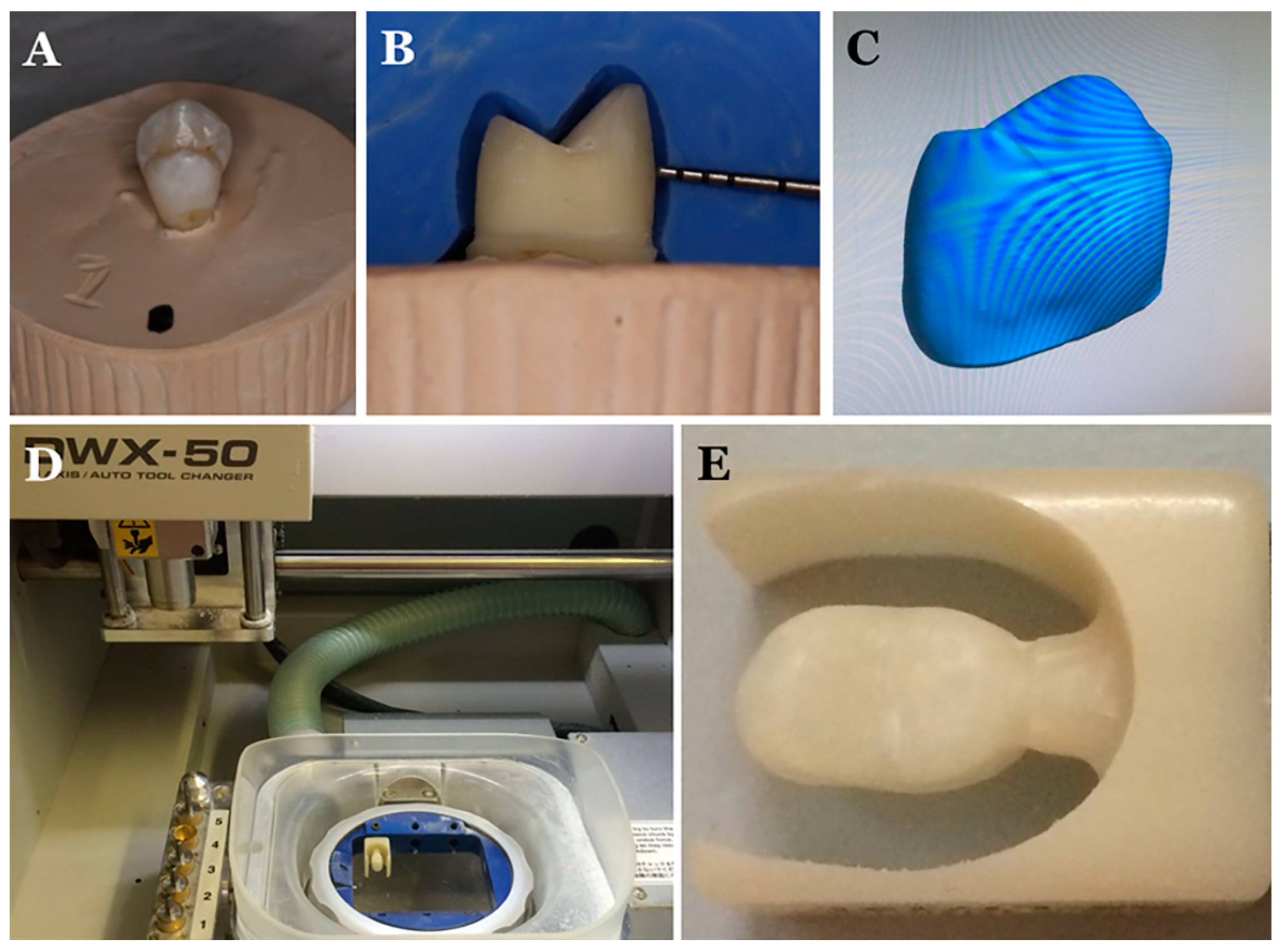 Applsci 11 01220 g001 Applsci 11 01220 g001